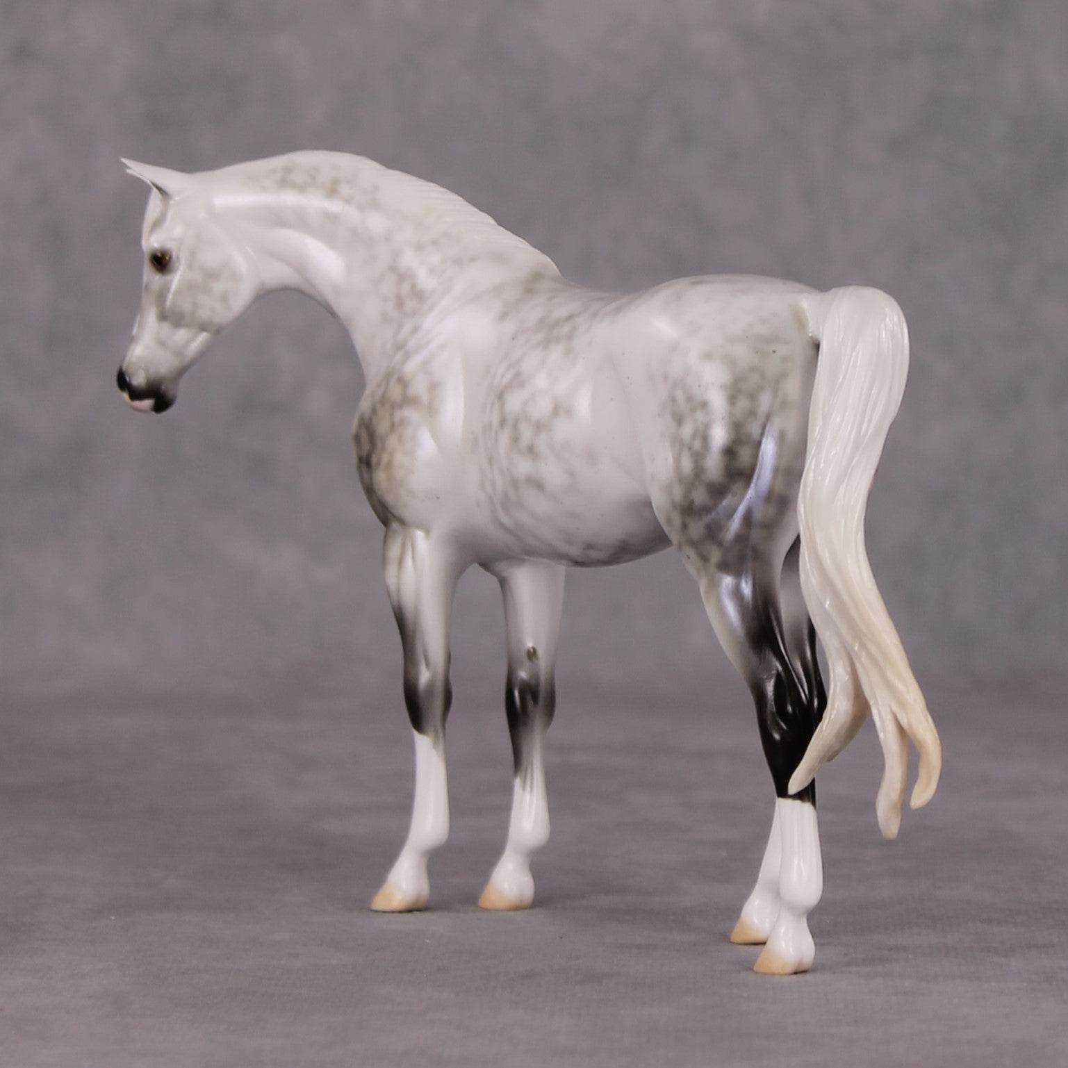 Serene Snowfall OOAK Light Dapple Pearl Grey W/ Blue Interference Custom Arabian Pebble By Ellen Robbins HS24