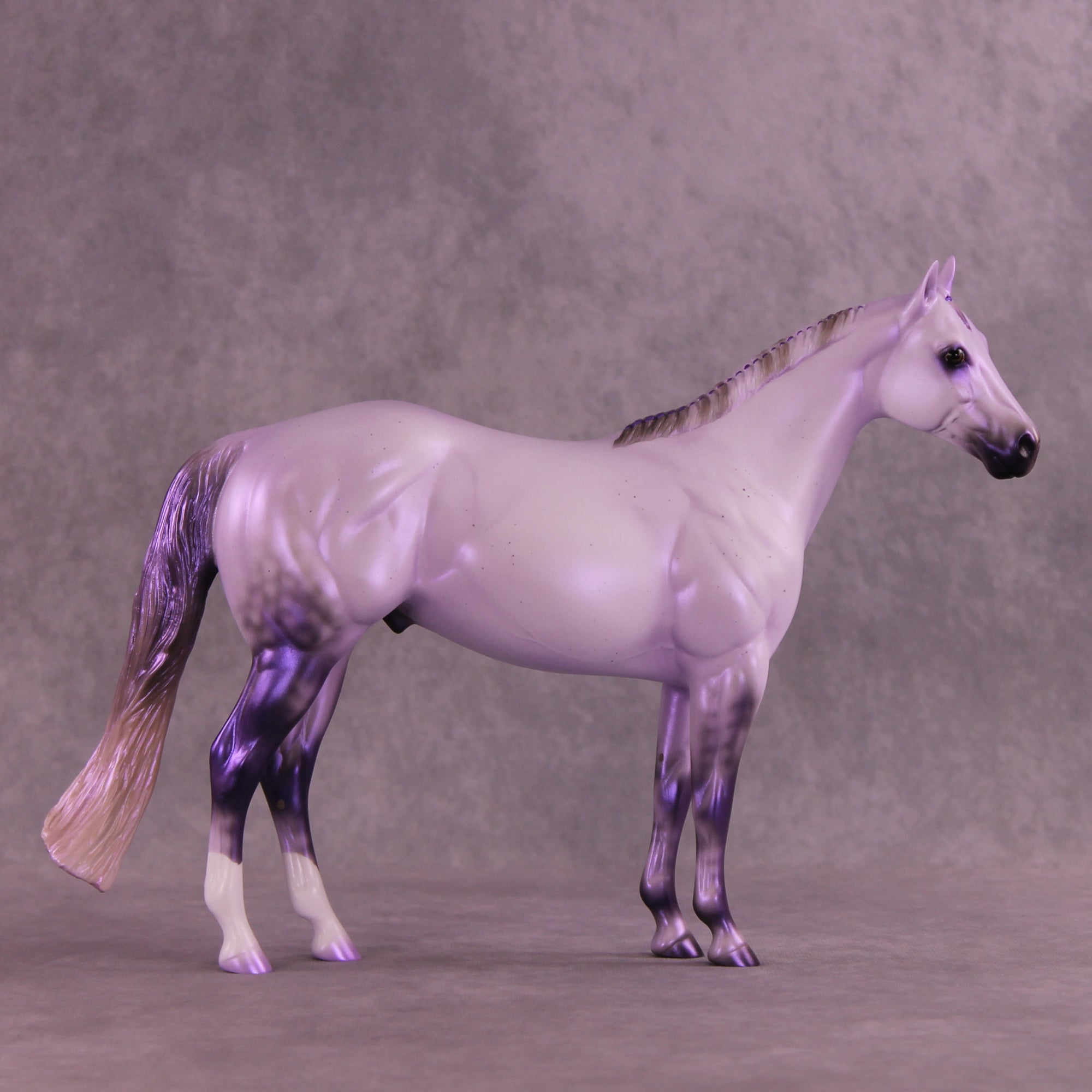 Pre-Order Mesa Dreamer LE-30 FCM Ideal Stock Horse by Ashley Palmer TS25