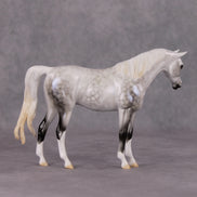 Serene Snowfall OOAK Light Dapple Pearl Grey W/ Blue Interference Custom Arabian Pebble By Ellen Robbins HS24