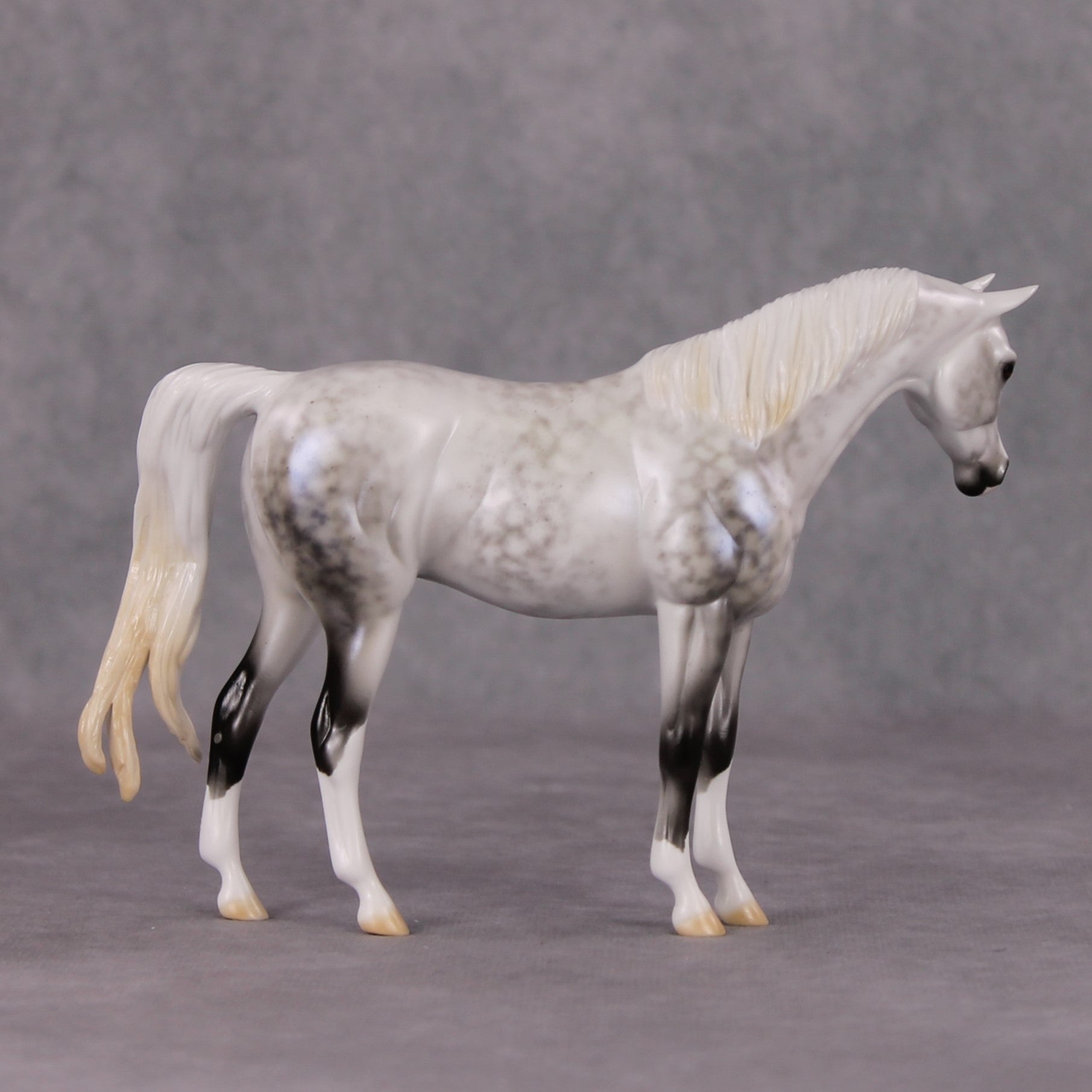 Serene Snowfall OOAK Light Dapple Pearl Grey W/ Blue Interference Custom Arabian Pebble By Ellen Robbins HS24