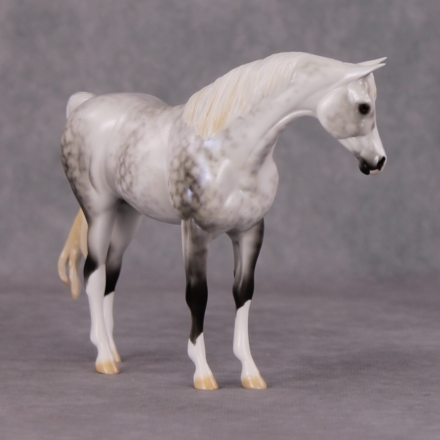 Serene Snowfall OOAK Light Dapple Pearl Grey W/ Blue Interference Custom Arabian Pebble By Ellen Robbins HS24