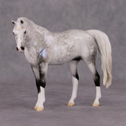 Serene Snowfall OOAK Light Dapple Pearl Grey W/ Blue Interference Custom Arabian Pebble By Ellen Robbins HS24