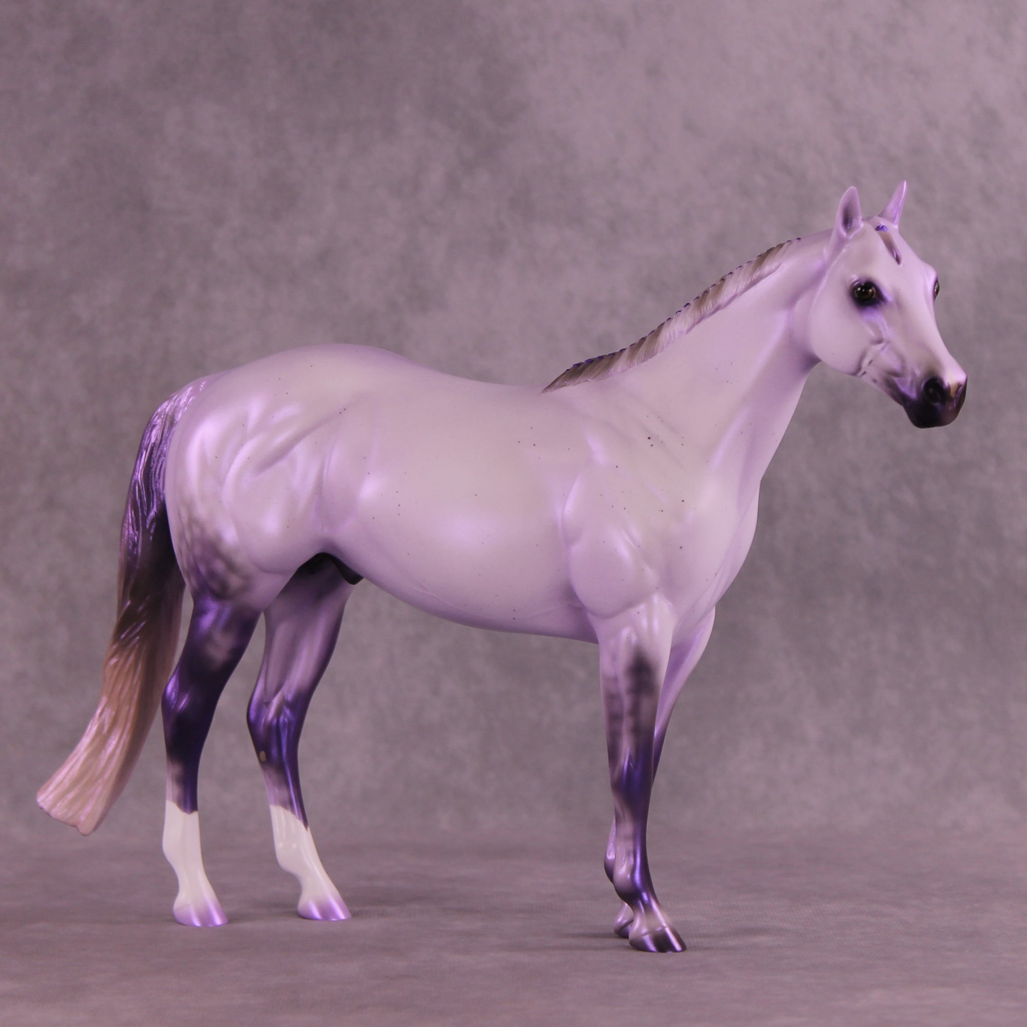 Pre-Order Mesa Dreamer LE-30 FCM Ideal Stock Horse by Ashley Palmer TS25
