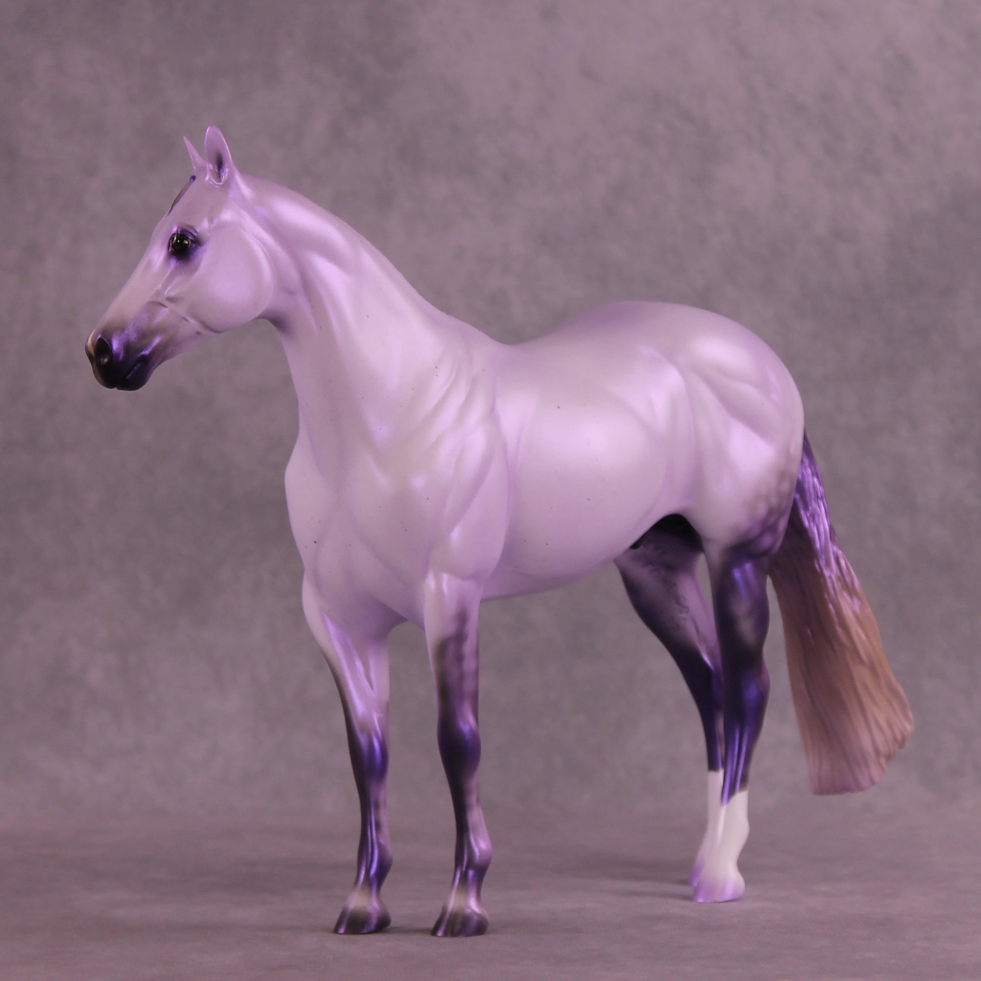 Pre-Order Mesa Dreamer LE-30 FCM Ideal Stock Horse by Ashley Palmer TS25