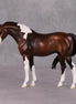 Sweater Weather OOAK Bay Pinto Arabian Pebble By Jess Hamill HS24 MHP Auction Piece