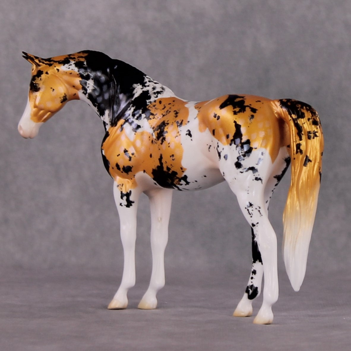 "Kawarigoi" OOAK Koi Inspired Pebble Arabian Mare by Jess Hamill