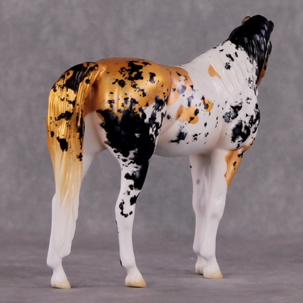 "Kawarigoi" OOAK Koi Inspired Pebble Arabian Mare by Jess Hamill