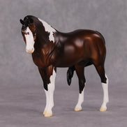 Sweater Weather OOAK Bay Pinto Arabian Pebble By Jess Hamill HS24 MHP Auction Piece