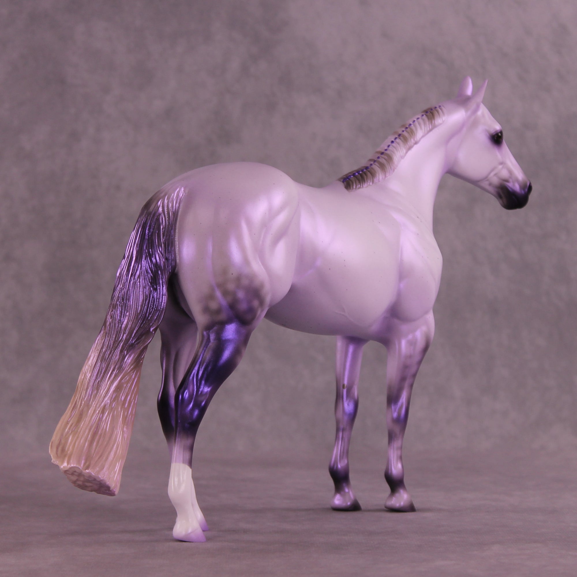 Pre-Order Mesa Dreamer LE-30 FCM Ideal Stock Horse by Ashley Palmer TS25