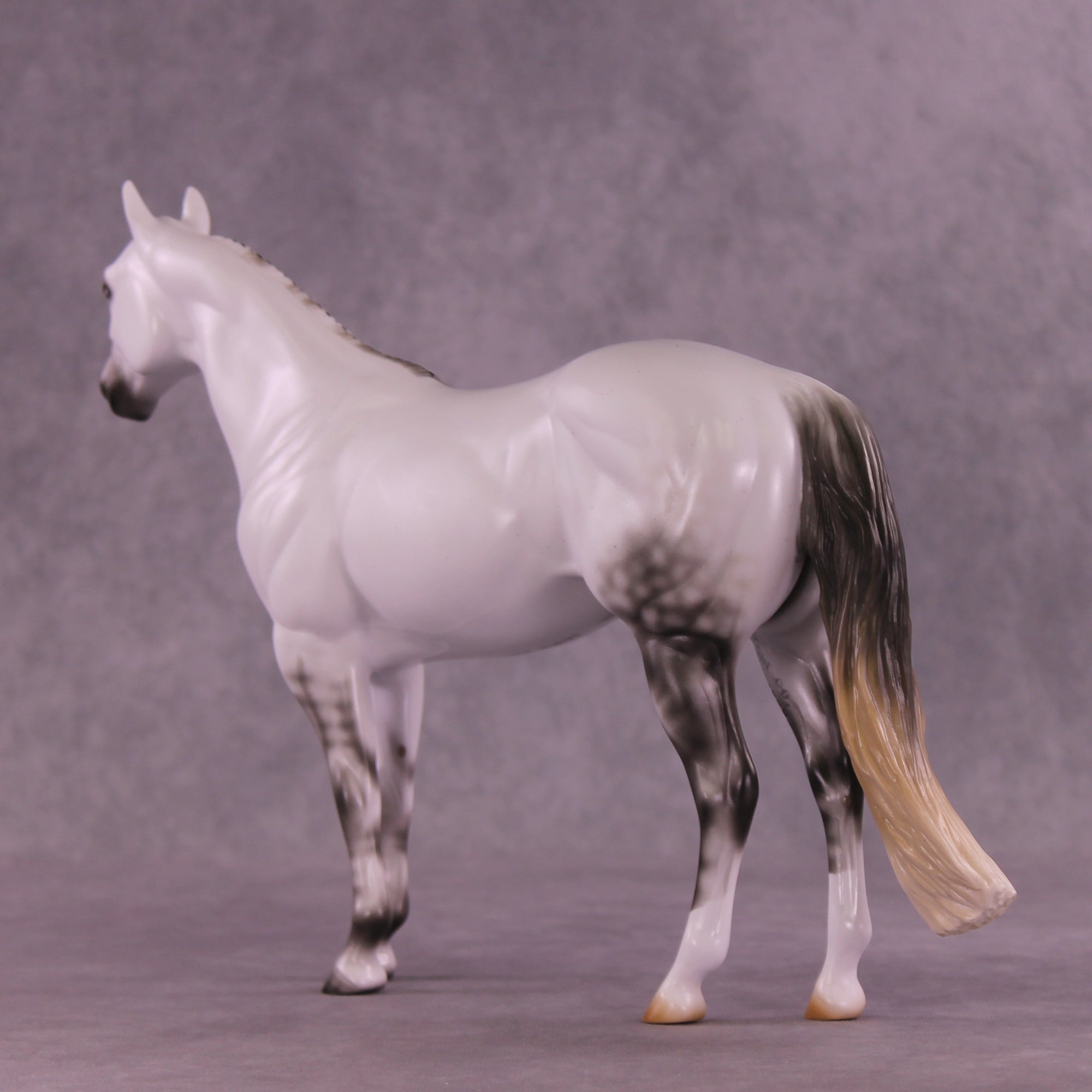 Pre-Order Mesa Achiever LE-30 FCM Ideal Stock Horse by Ashley Palmer TS25
