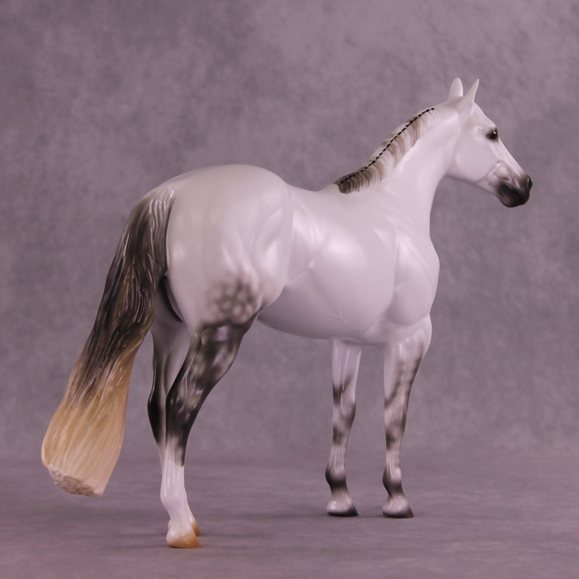 Pre-Order Mesa Achiever LE-30 FCM Ideal Stock Horse by Ashley Palmer TS25