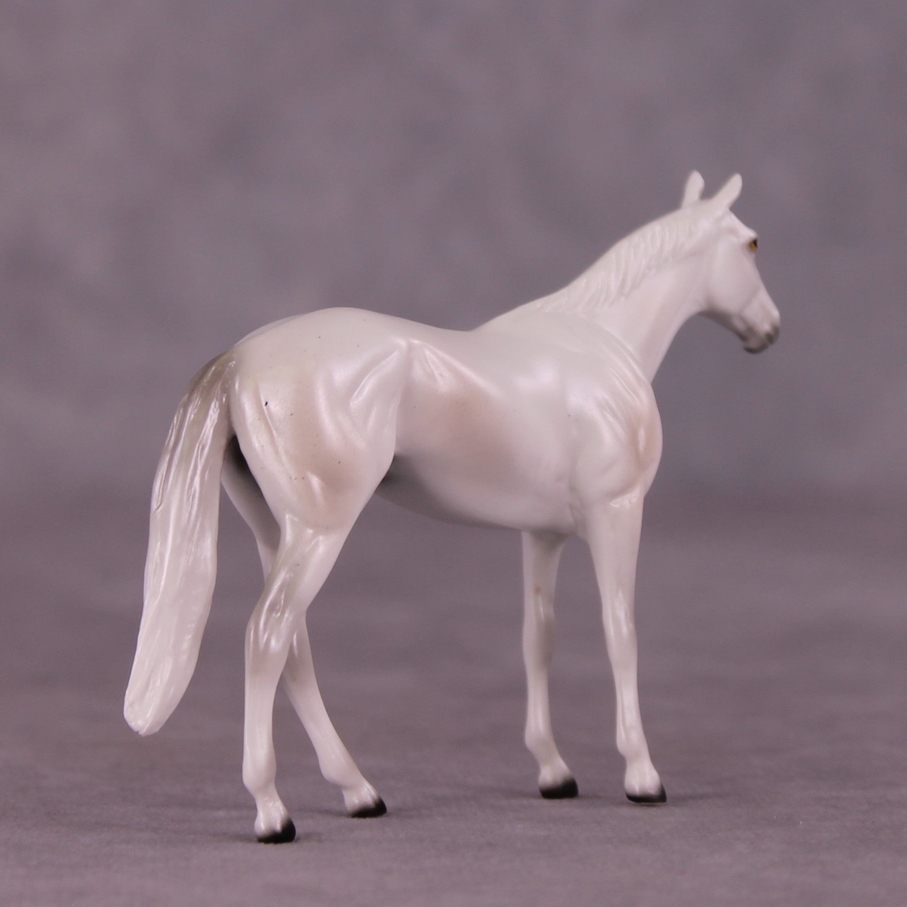 Stone Horses Midsummer Celebration Surprise Chips: The Thoroughbred Chips Grab Bags by Ellen Robbins SCD25