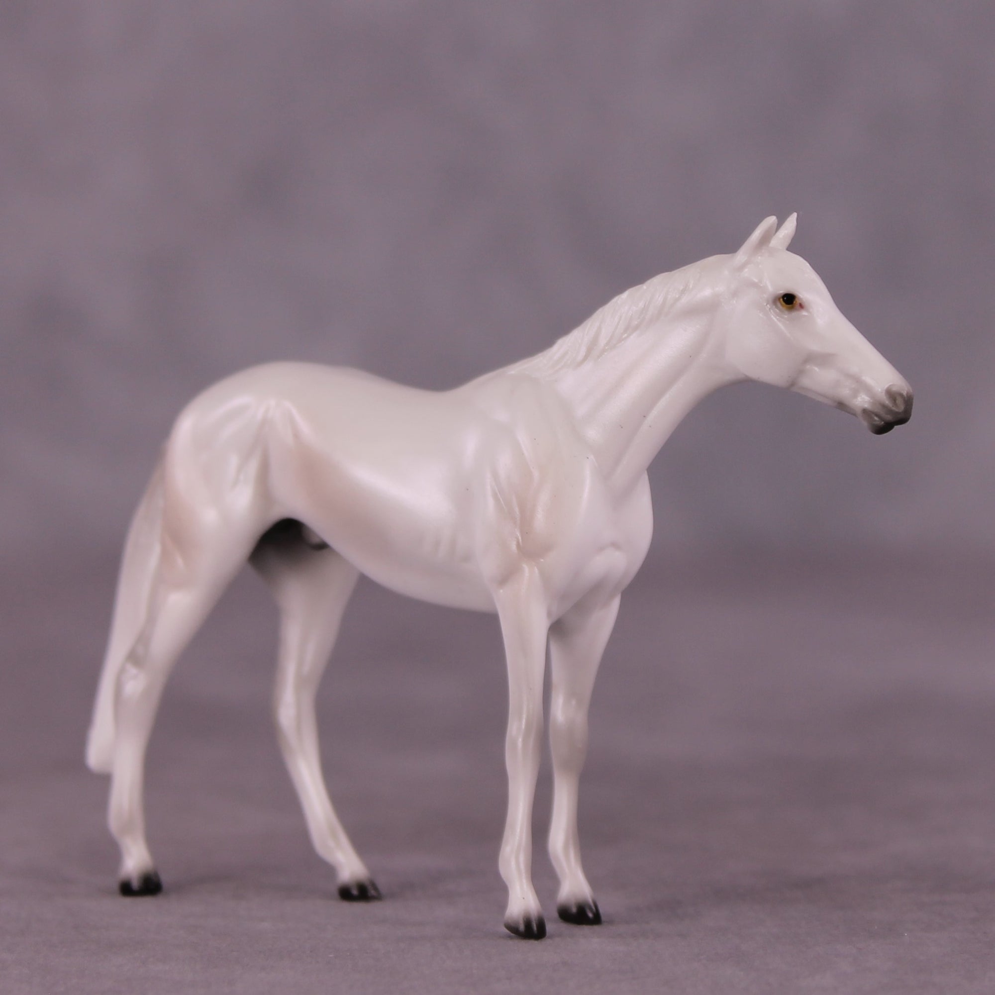 Stone Horses Midsummer Celebration Surprise Chips: The Thoroughbred Chips Grab Bags by Ellen Robbins SCD25