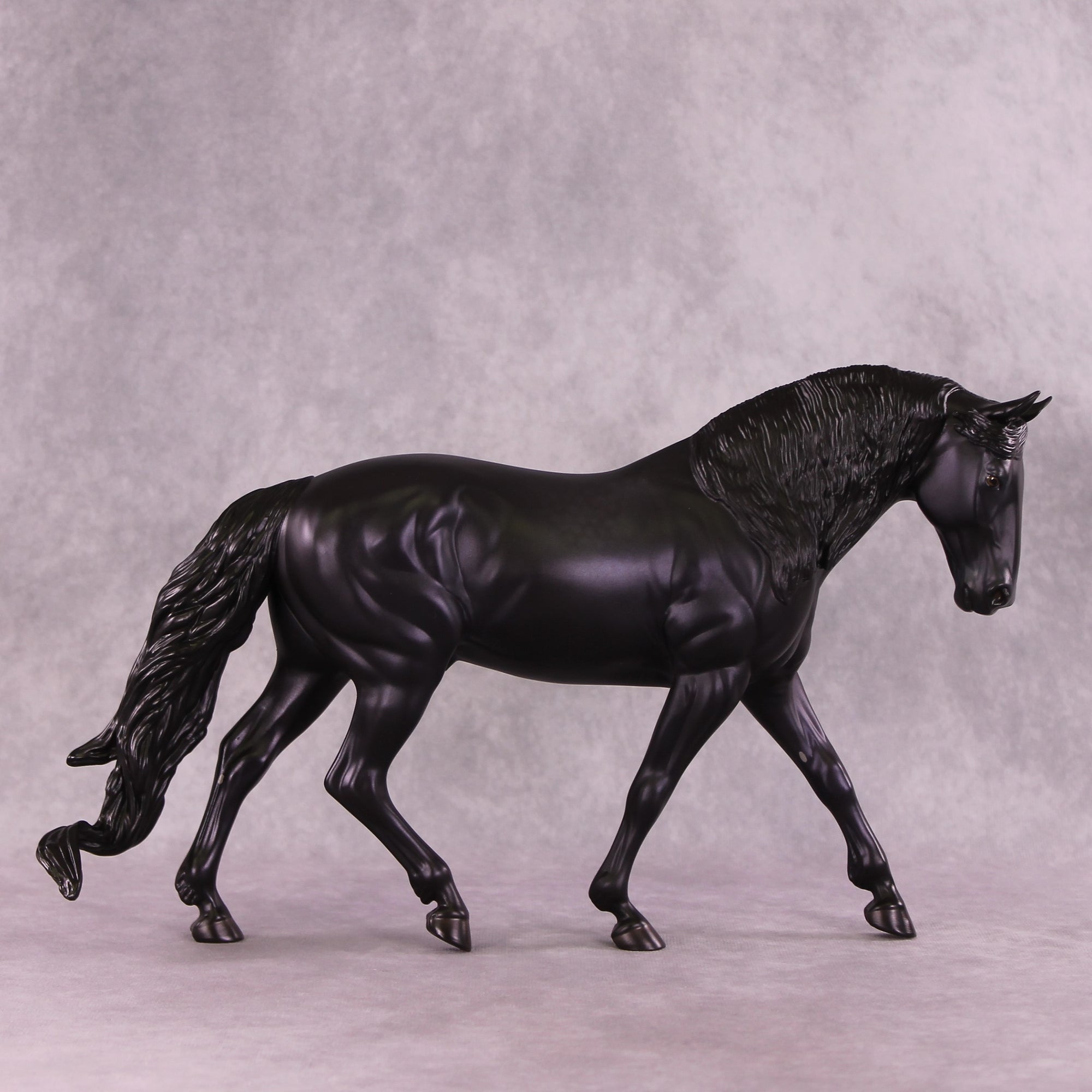 SAMPLE Karma FCM Irish Draught by Ashley Palmer 11/25/2025 SS1125