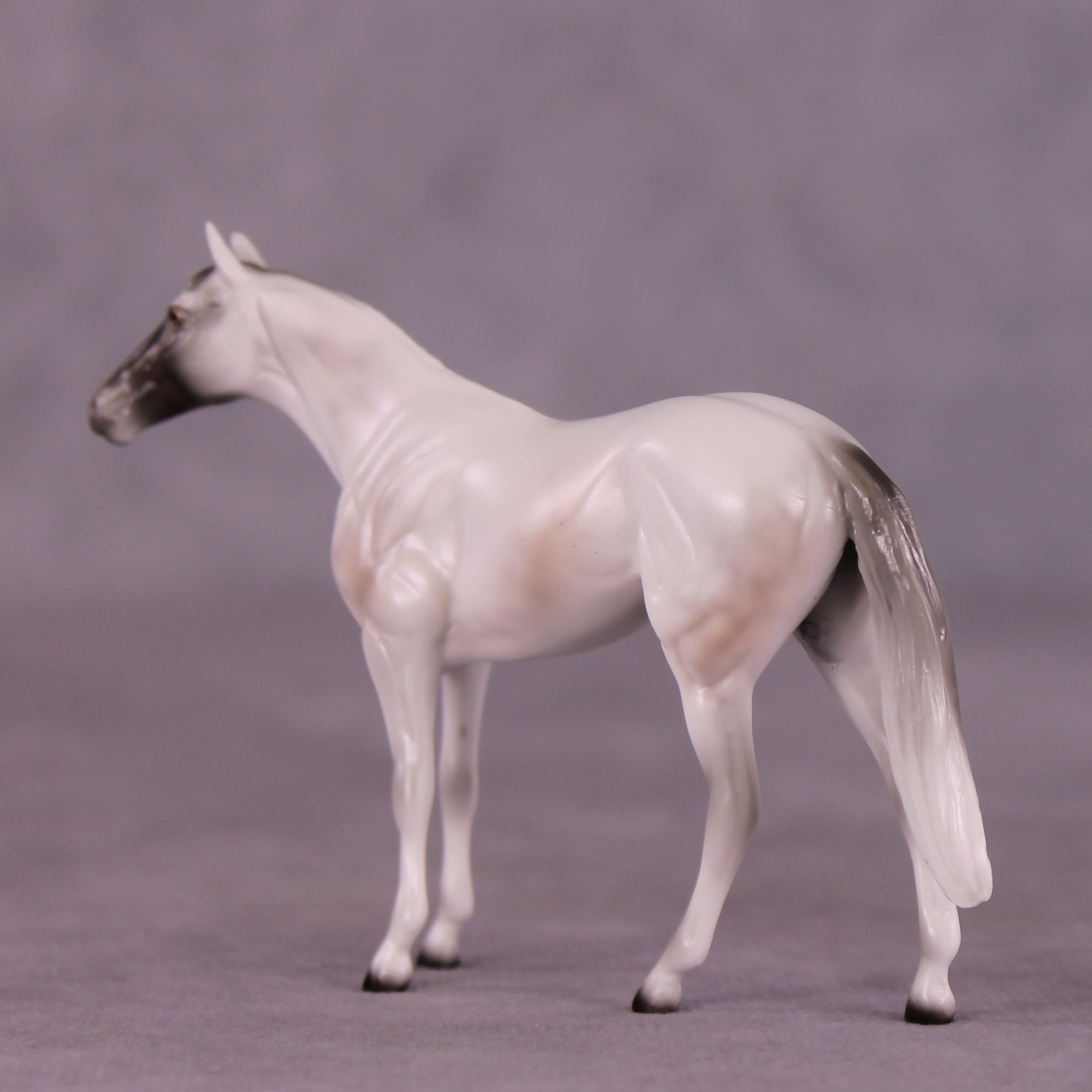 Stone Horses Midsummer Celebration Surprise Chips: The Thoroughbred Chips Grab Bags by Ellen Robbins SCD25