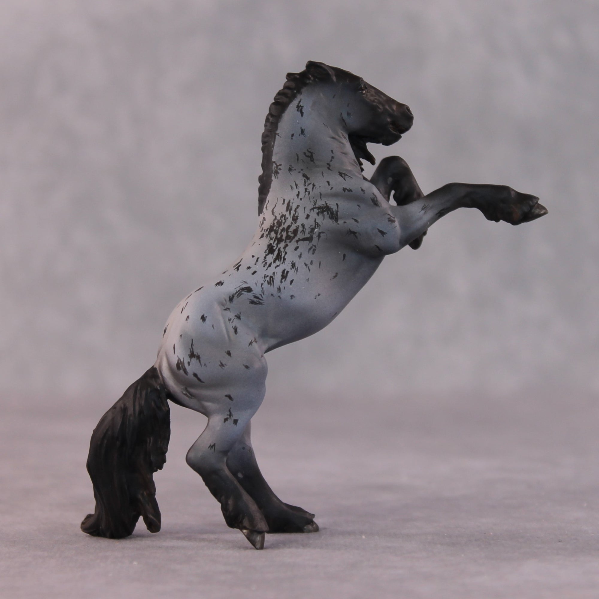 &quot;Blackbeard&quot; OOAK EFCM Rearing Chip By Maggie Jenner-Bennett