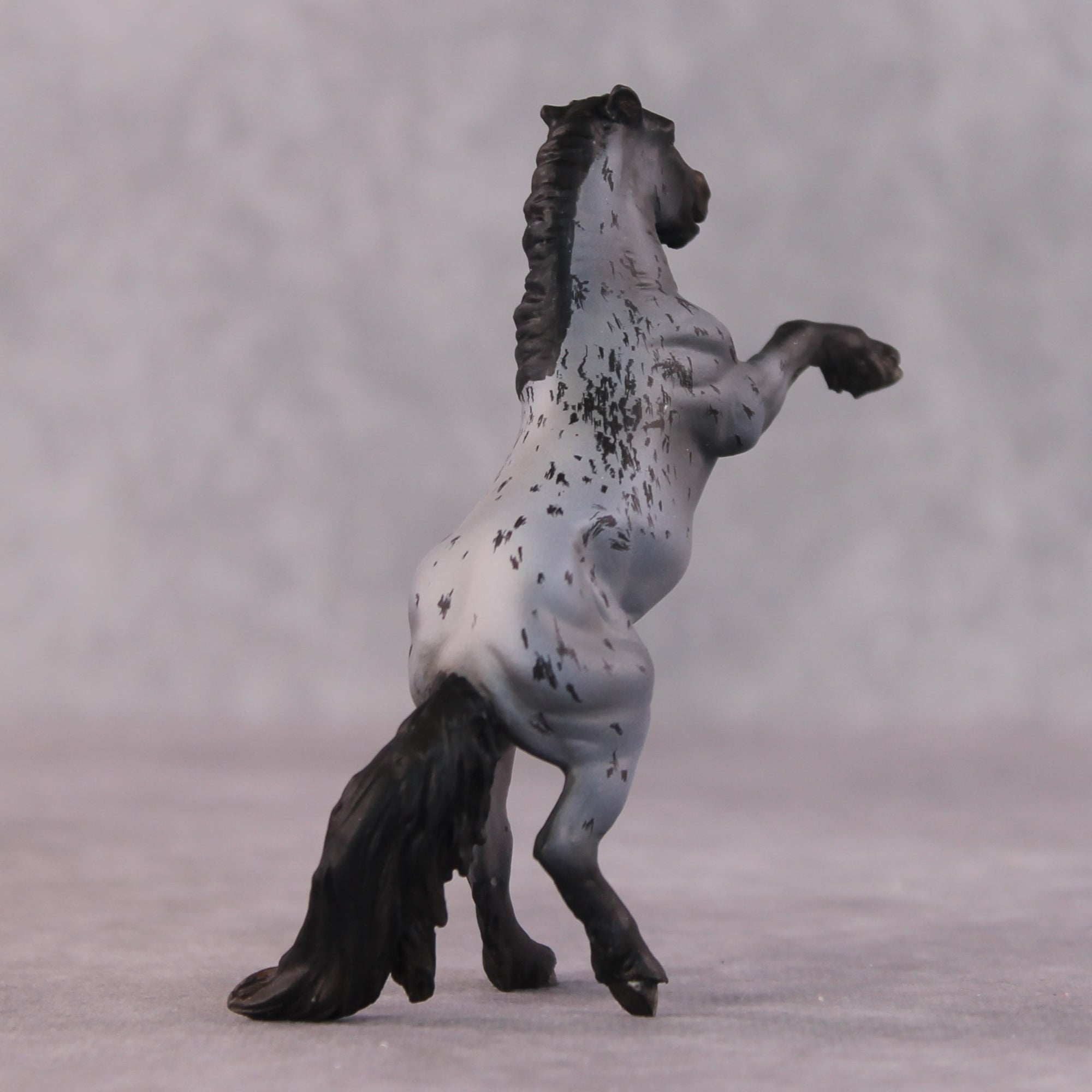 &quot;Blackbeard&quot; OOAK EFCM Rearing Chip By Maggie Jenner-Bennett