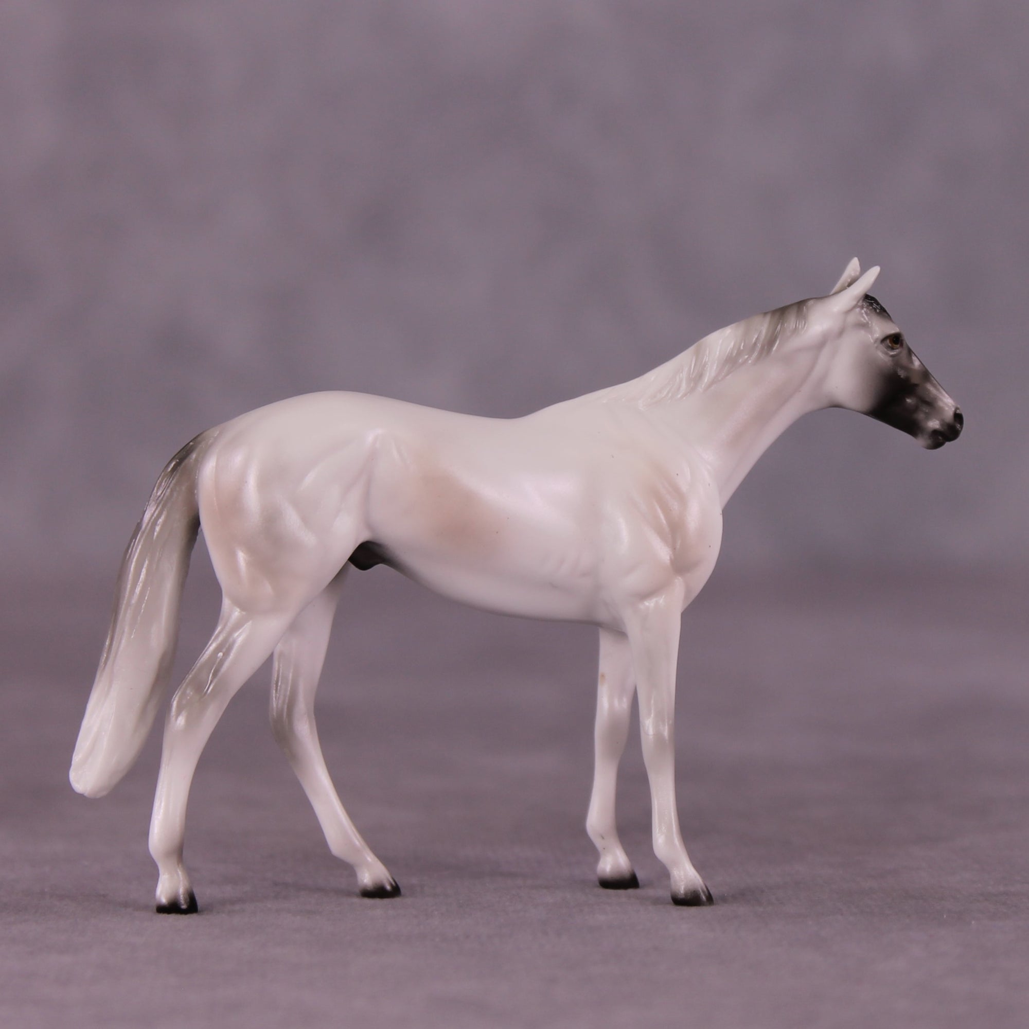 Stone Horses Midsummer Celebration Surprise Chips: The Thoroughbred Chips Grab Bags by Ellen Robbins SCD25