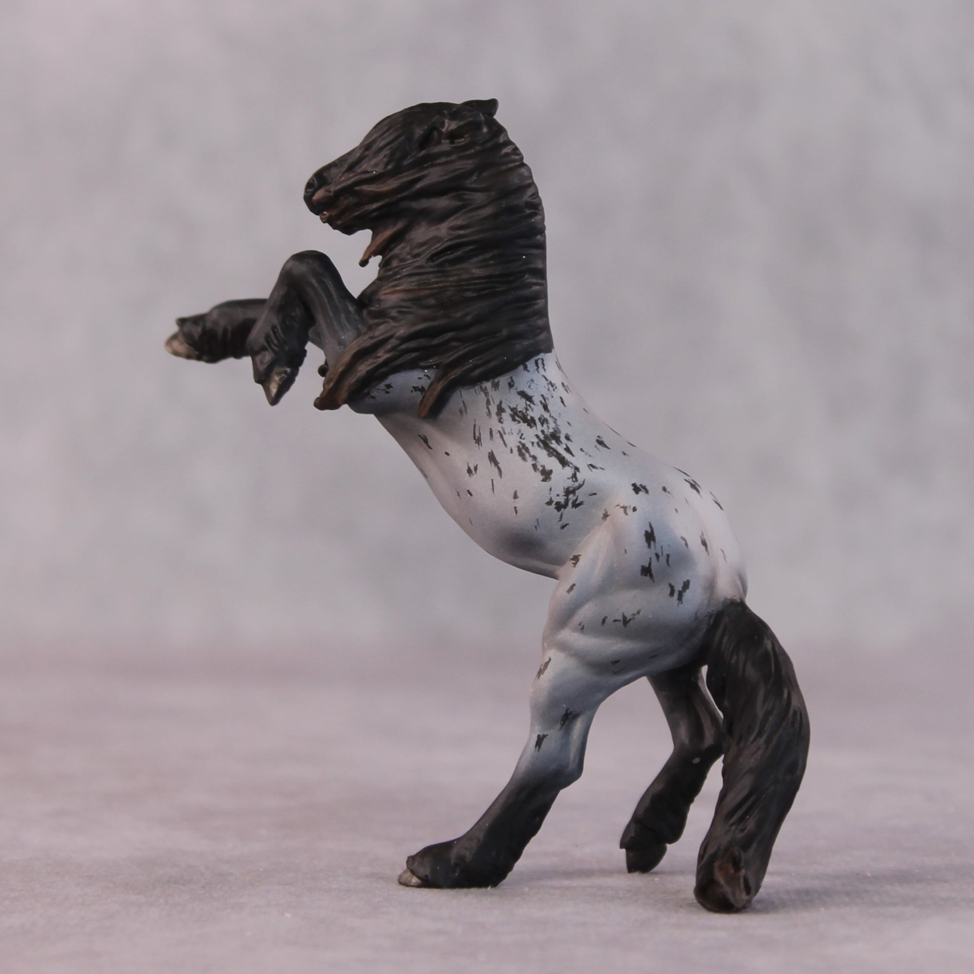 &quot;Blackbeard&quot; OOAK EFCM Rearing Chip By Maggie Jenner-Bennett