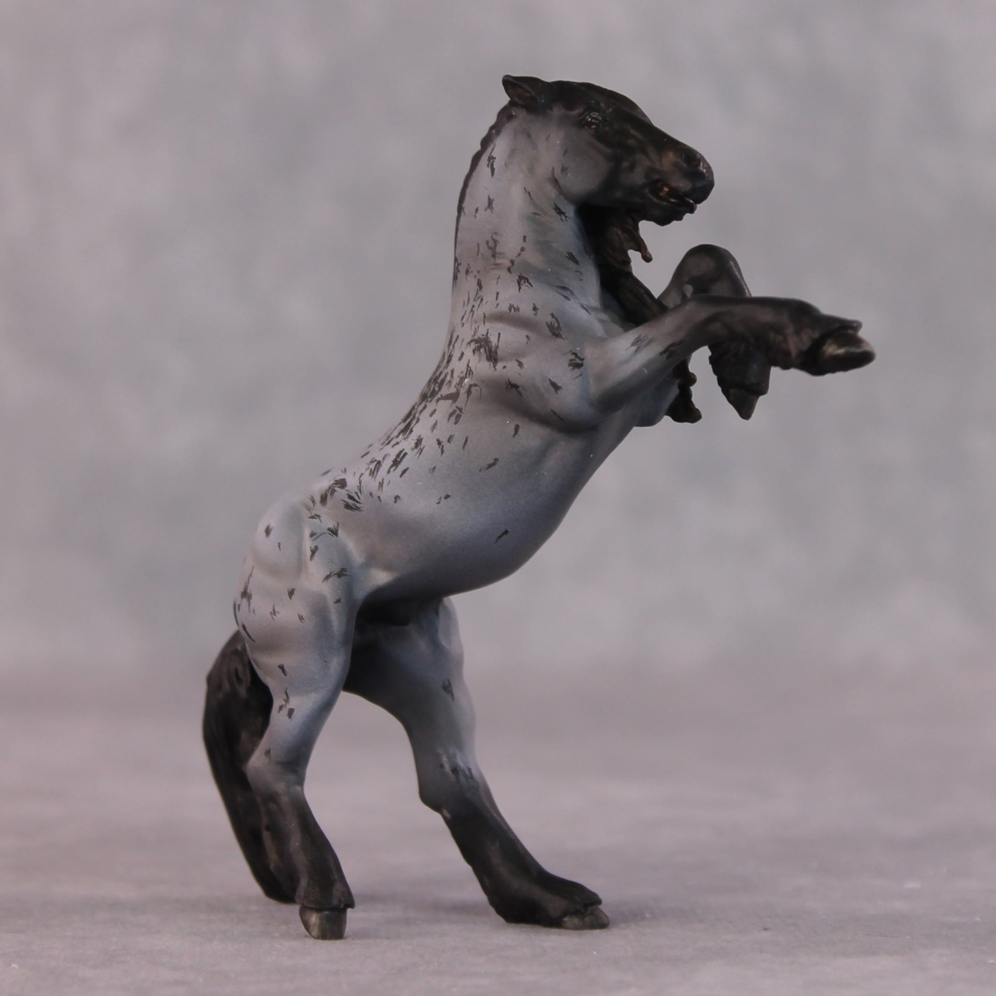 &quot;Blackbeard&quot; OOAK EFCM Rearing Chip By Maggie Jenner-Bennett