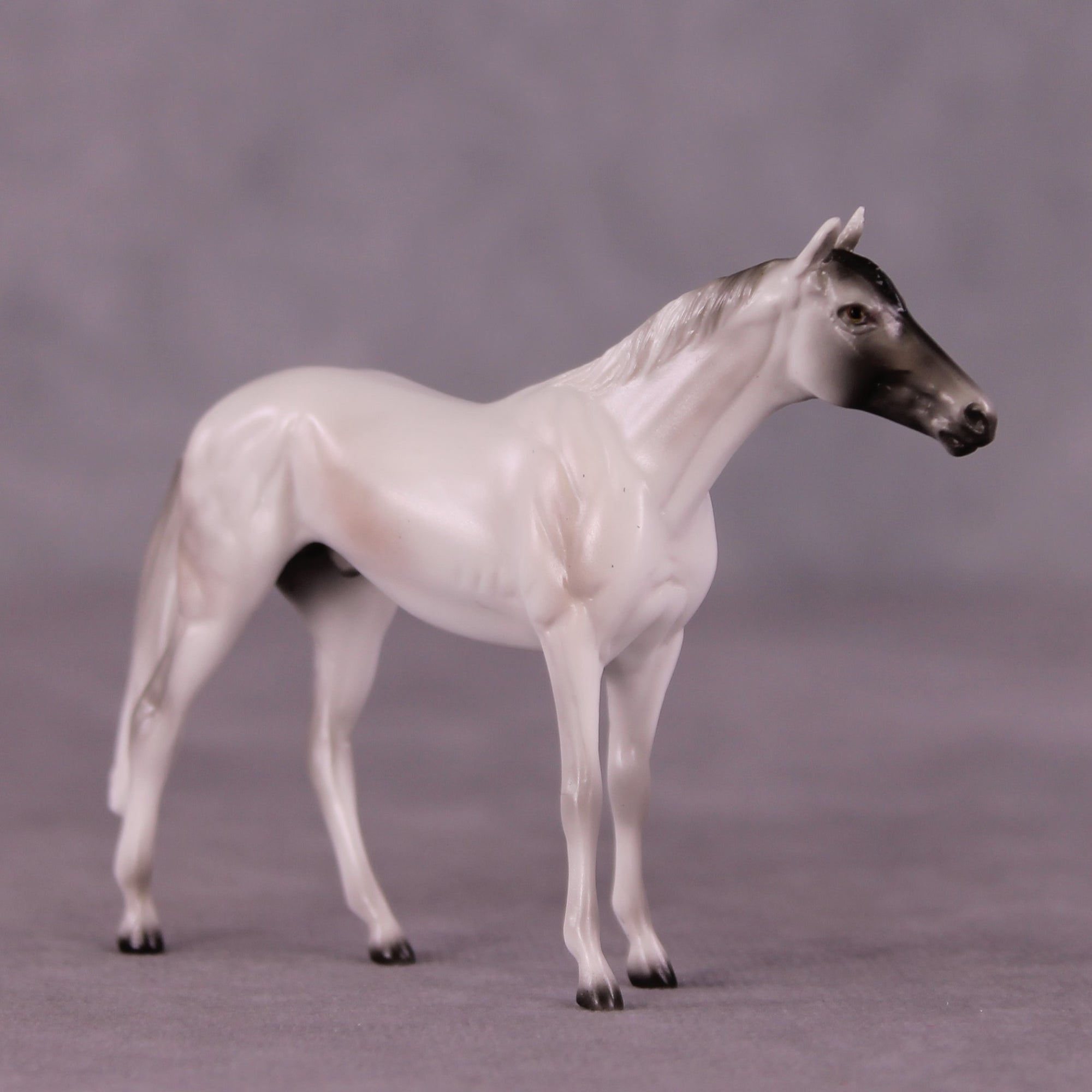 Stone Horses Midsummer Celebration Surprise Chips: The Thoroughbred Chips Grab Bags by Ellen Robbins SCD25