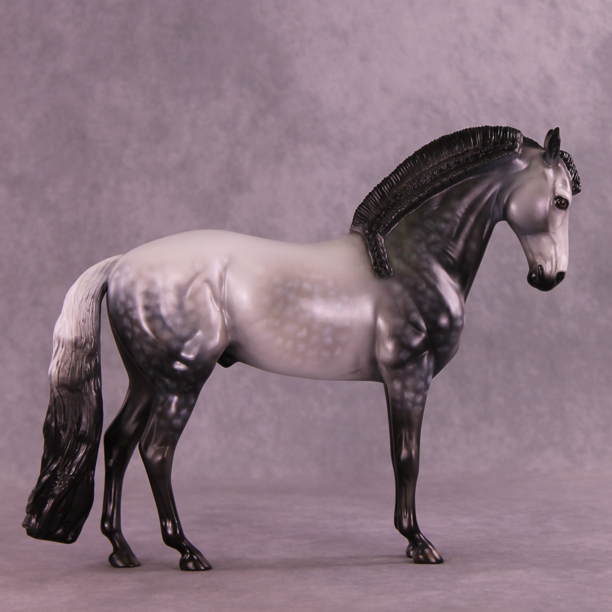 Silver Flames OOAK FCM Andalusian by Dawn Quick DDOOAKs25