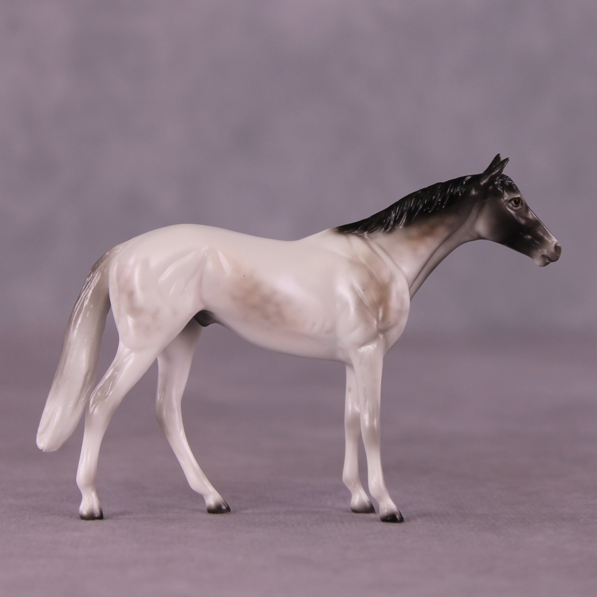 Stone Horses Midsummer Celebration Surprise Chips: The Thoroughbred Chips Grab Bags by Ellen Robbins SCD25