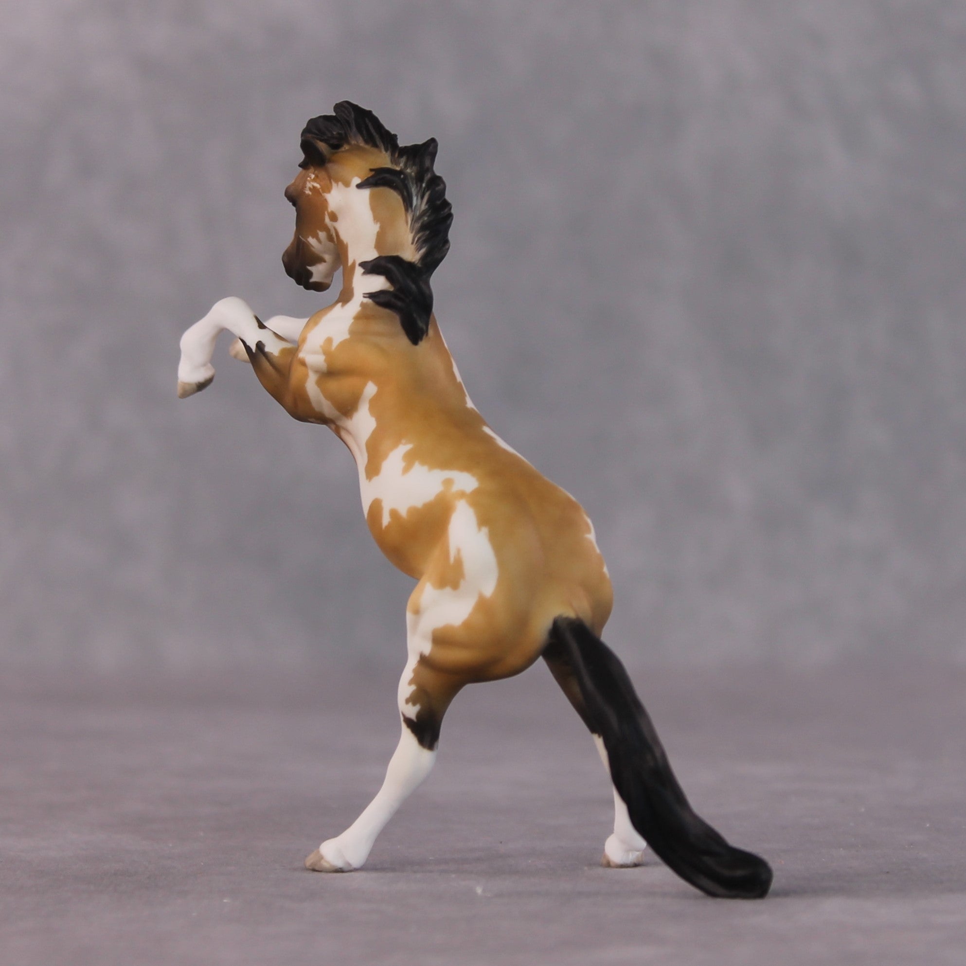 "John Rackham" OOAK FCM Rearing Chip By Maggie Jenner-Bennett