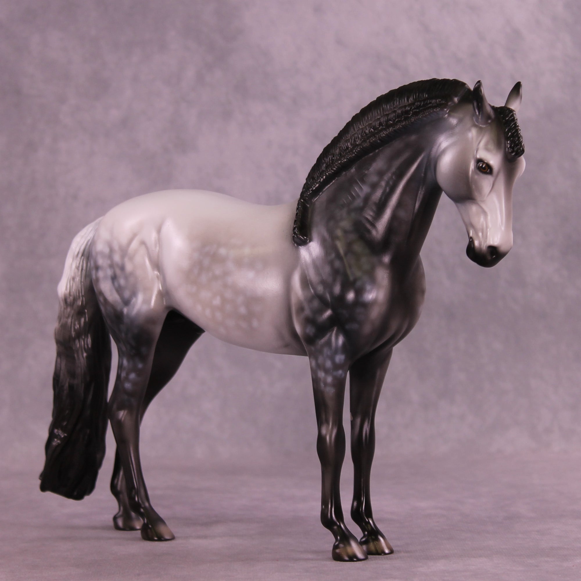 Silver Flames OOAK FCM Andalusian by Dawn Quick DDOOAKs25