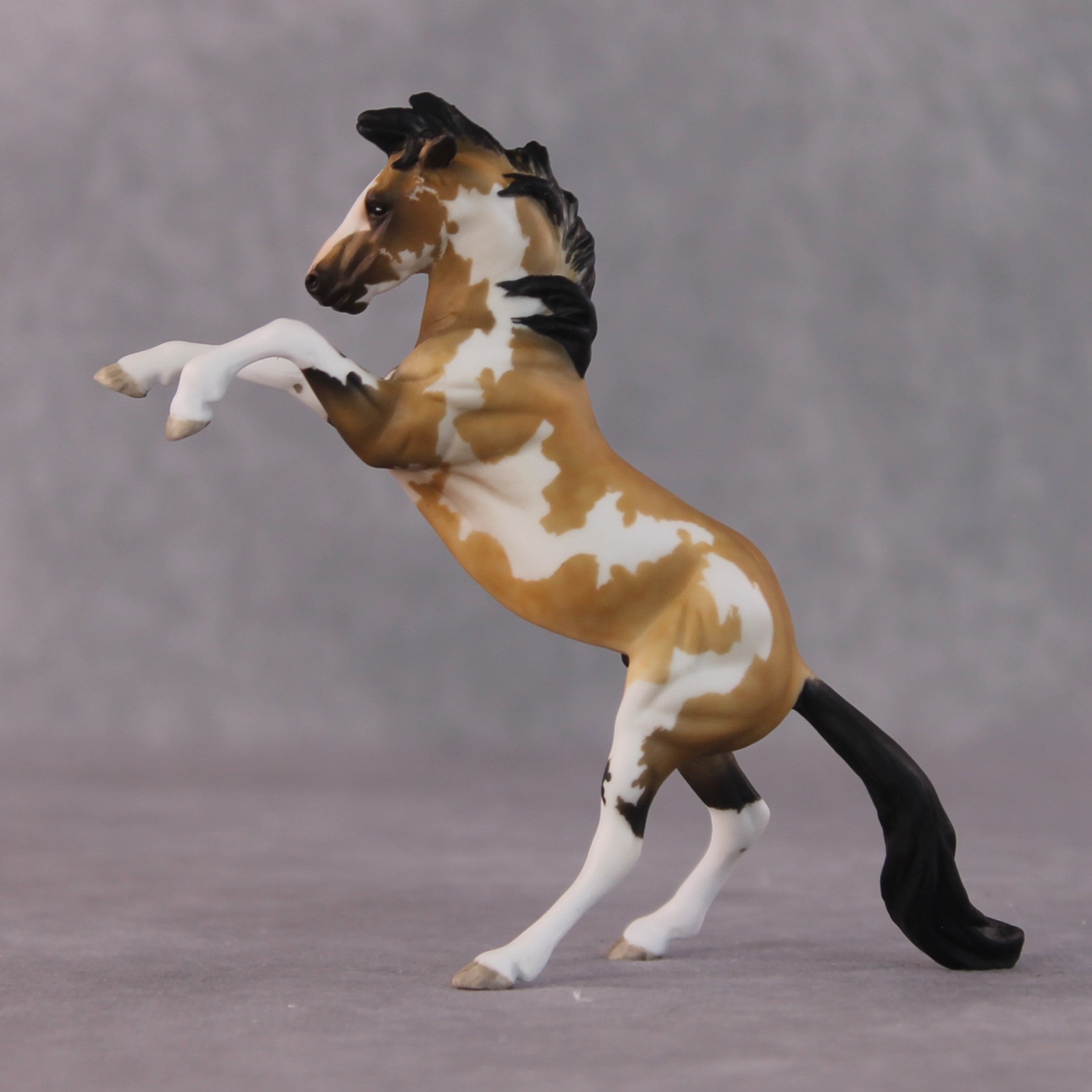 "John Rackham" OOAK FCM Rearing Chip By Maggie Jenner-Bennett