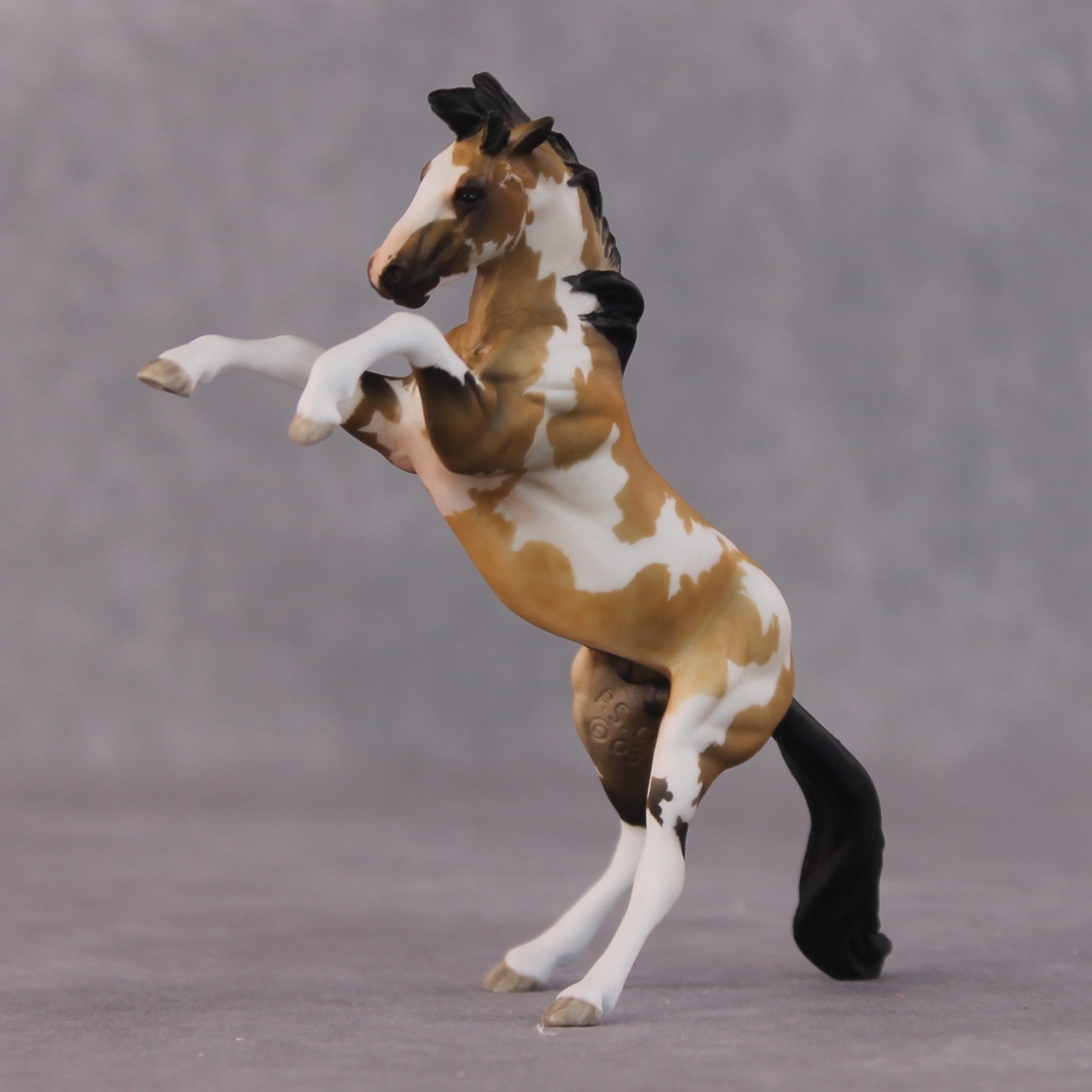 "John Rackham" OOAK FCM Rearing Chip By Maggie Jenner-Bennett