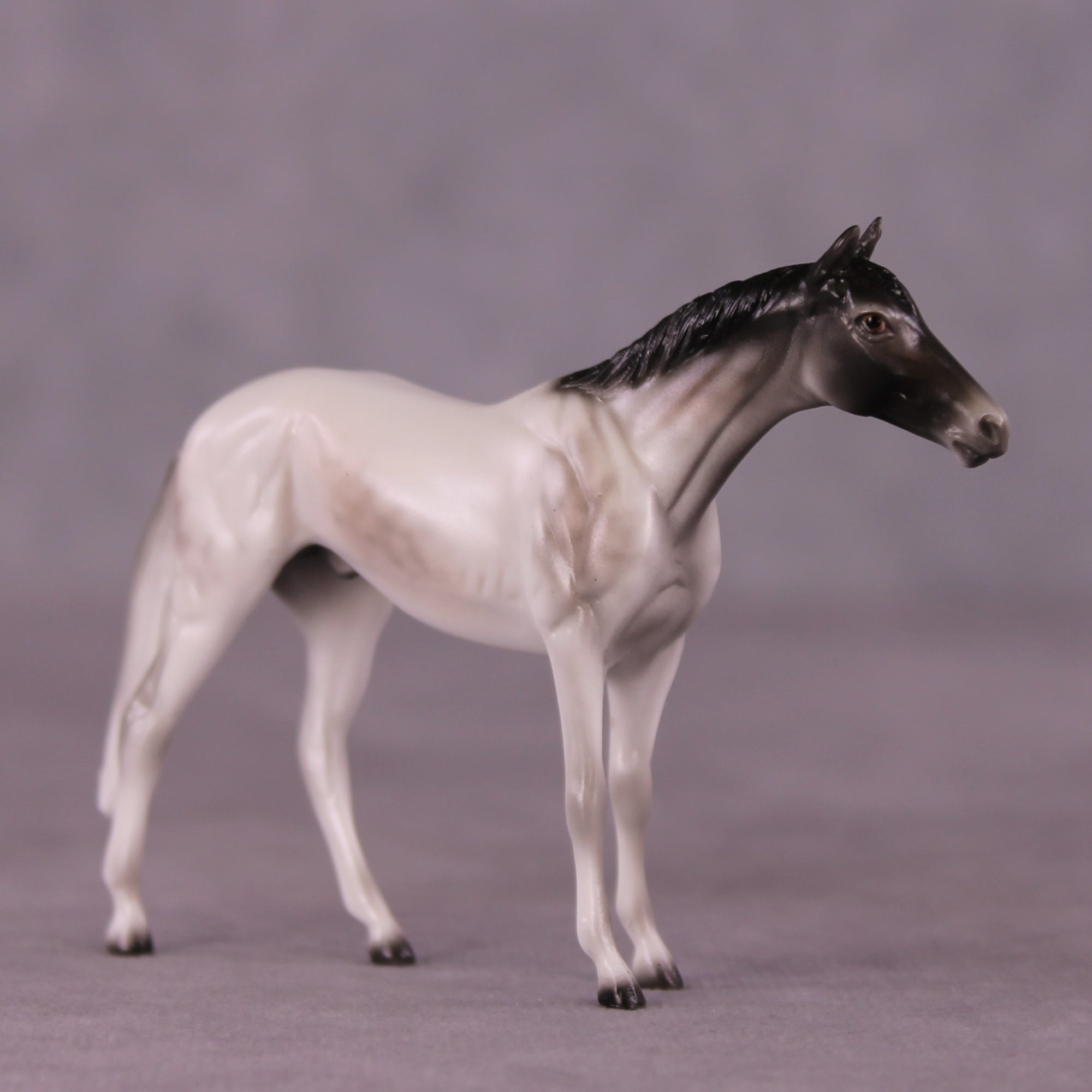 Stone Horses Midsummer Celebration Surprise Chips: The Thoroughbred Chips Grab Bags by Ellen Robbins SCD25