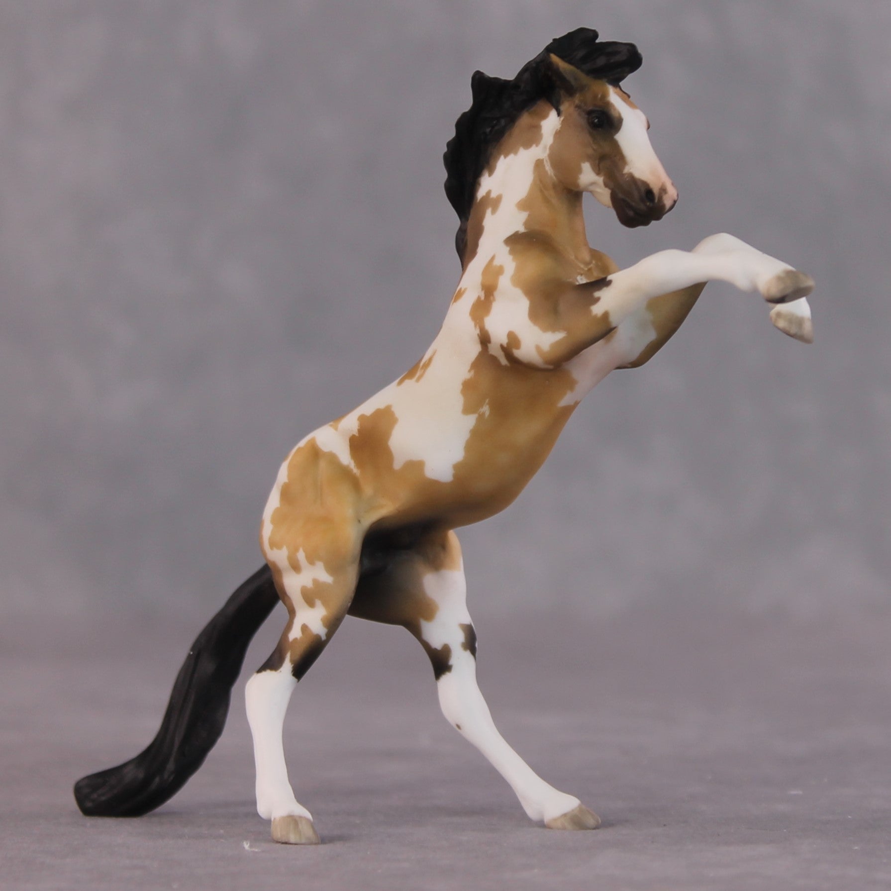 "John Rackham" OOAK FCM Rearing Chip By Maggie Jenner-Bennett