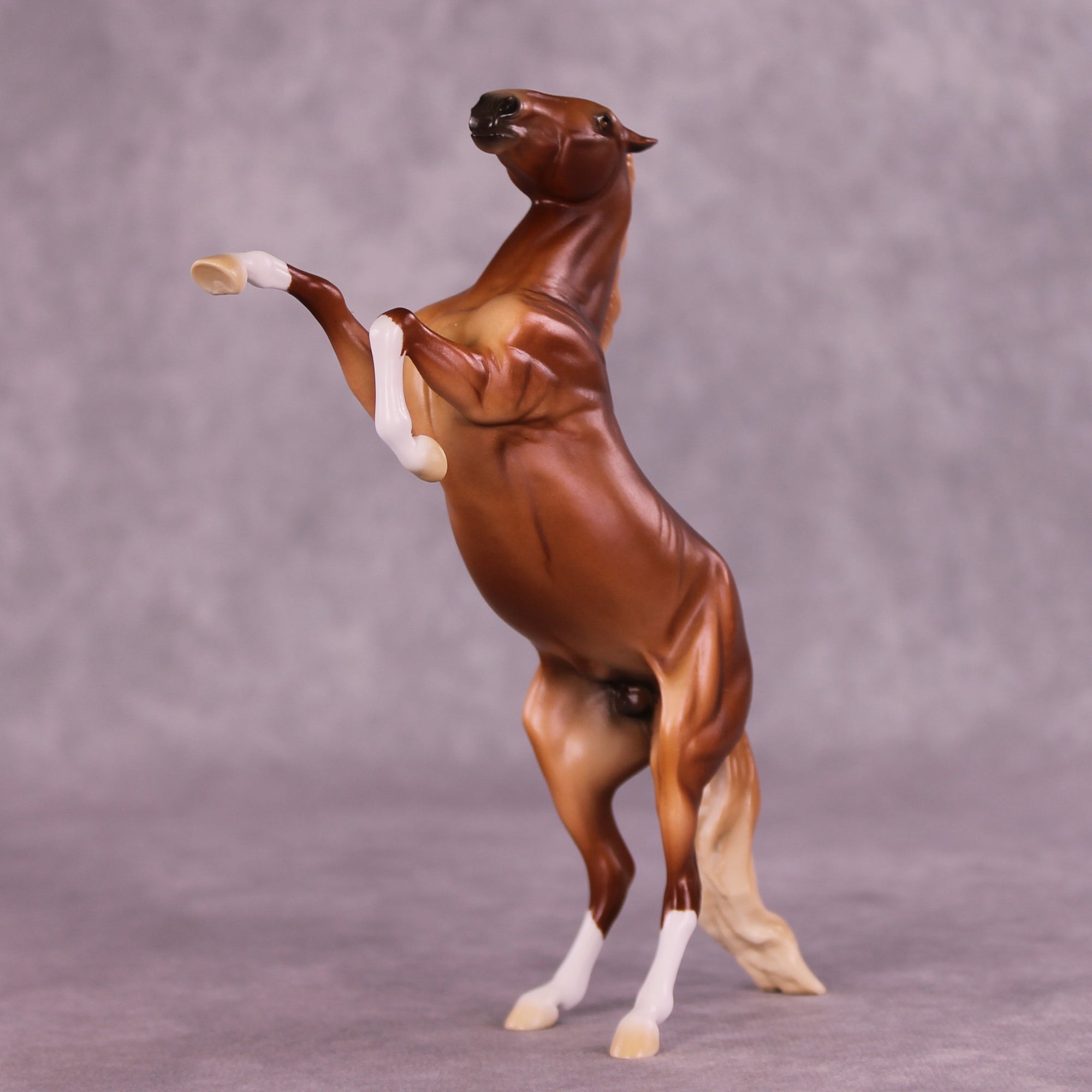 Toss A Coin OOAK Rearing Pebble by Ellen Robbins LHS25