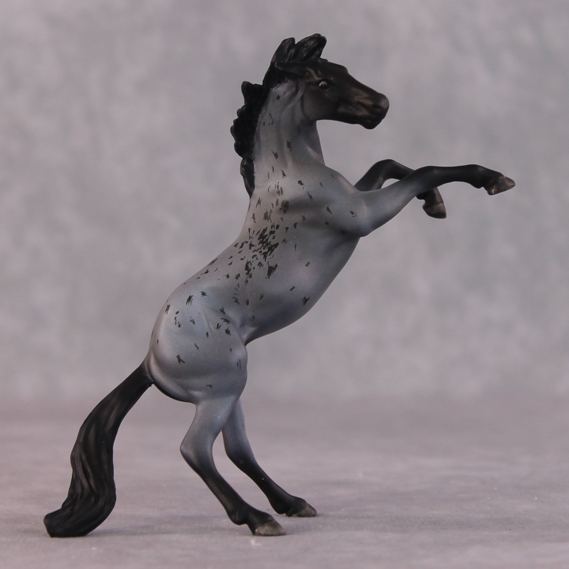 "Edward Teach" OOAK Rearing Chip By Maggie Jenner-Bennett