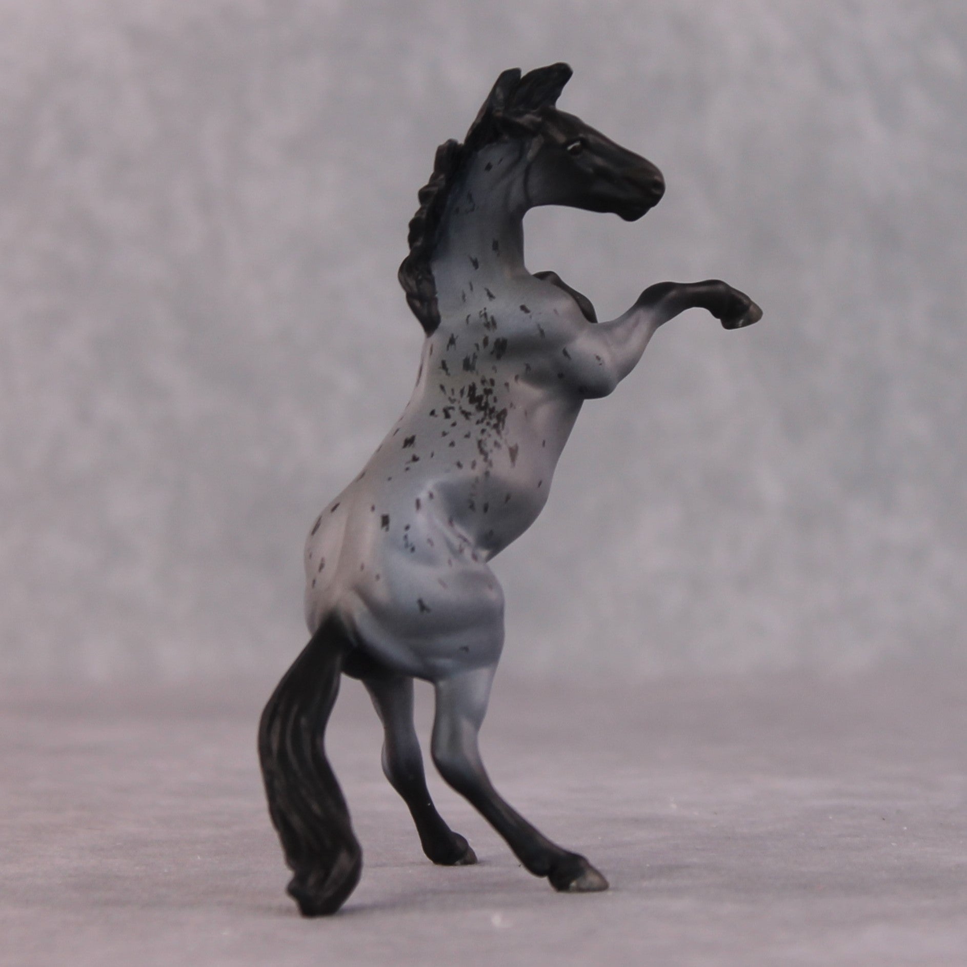 "Edward Teach" OOAK Rearing Chip By Maggie Jenner-Bennett