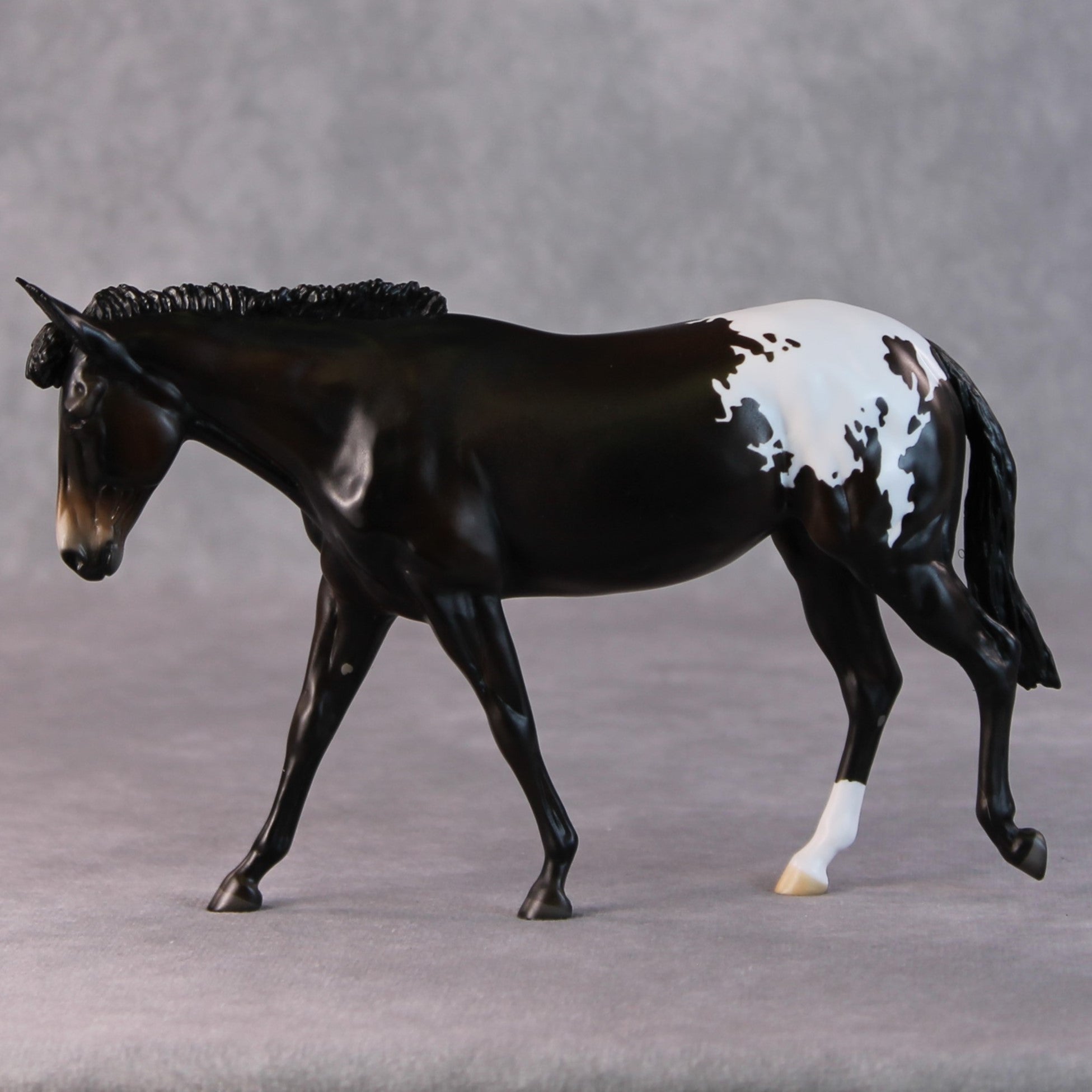 Fudge Sundae OOAK Dark Bay Appaloosa Pebble Mule  By Angela Marleau HS24