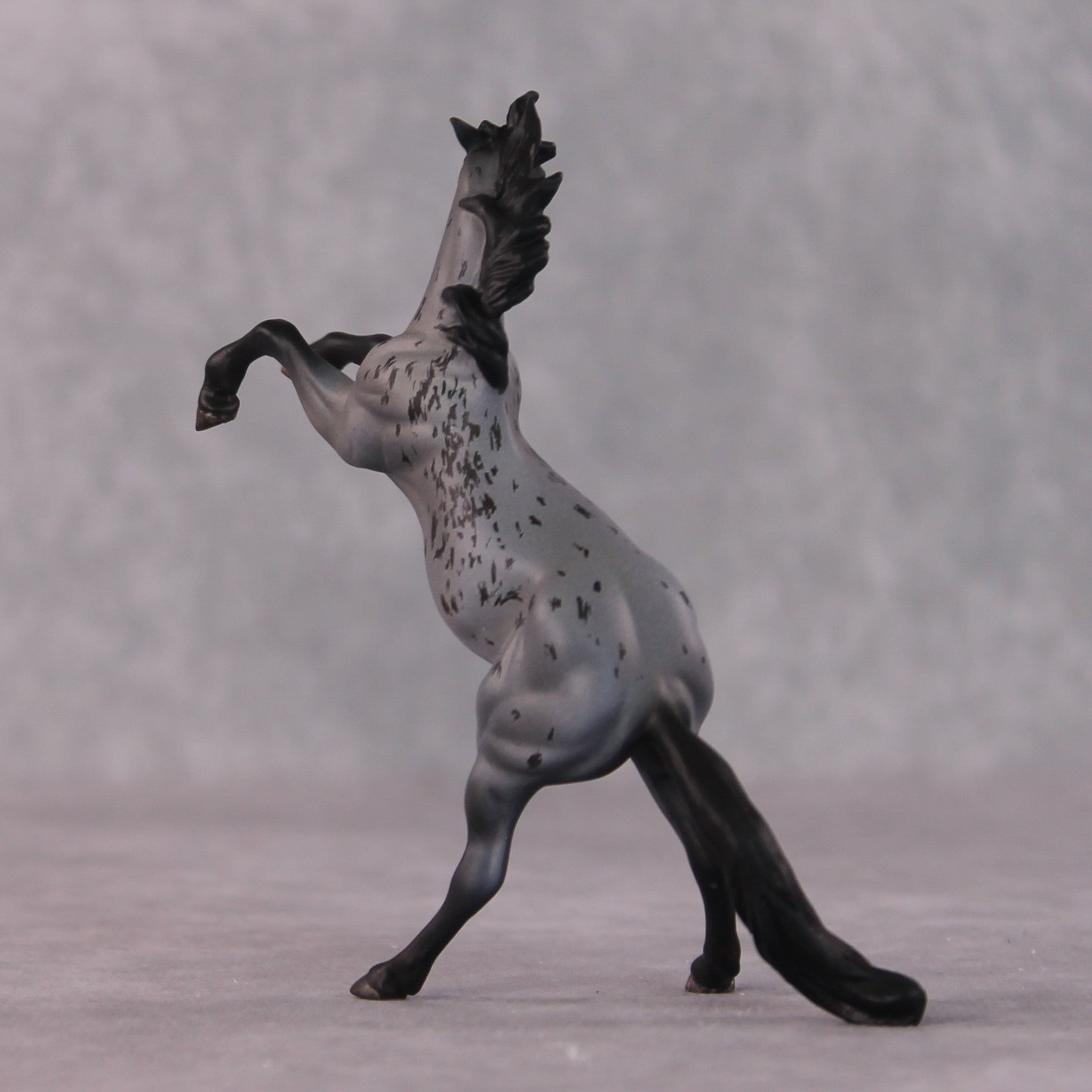 "Edward Teach" OOAK Rearing Chip By Maggie Jenner-Bennett