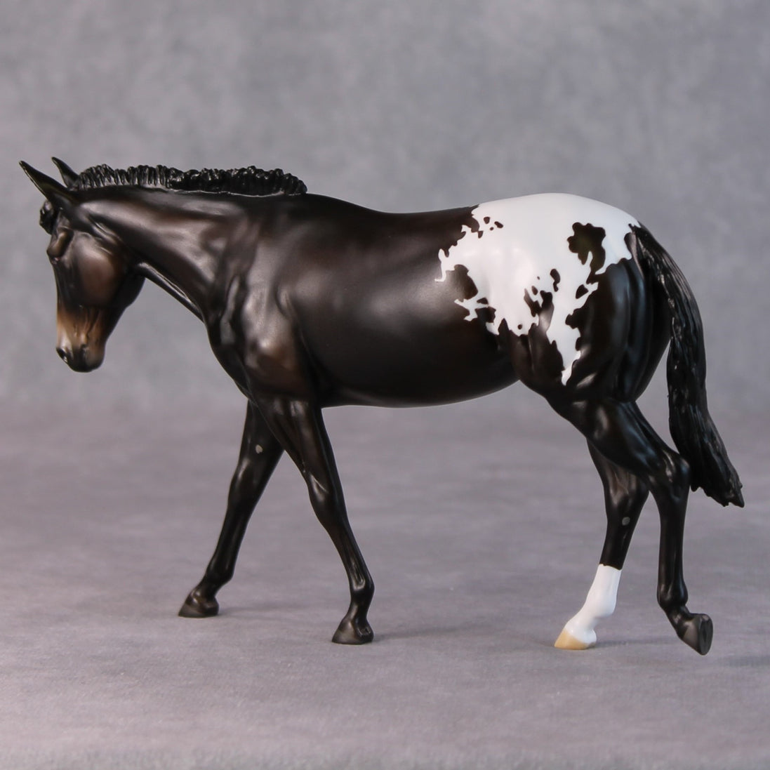 Fudge Sundae OOAK Dark Bay Appaloosa Pebble Mule  By Angela Marleau HS24