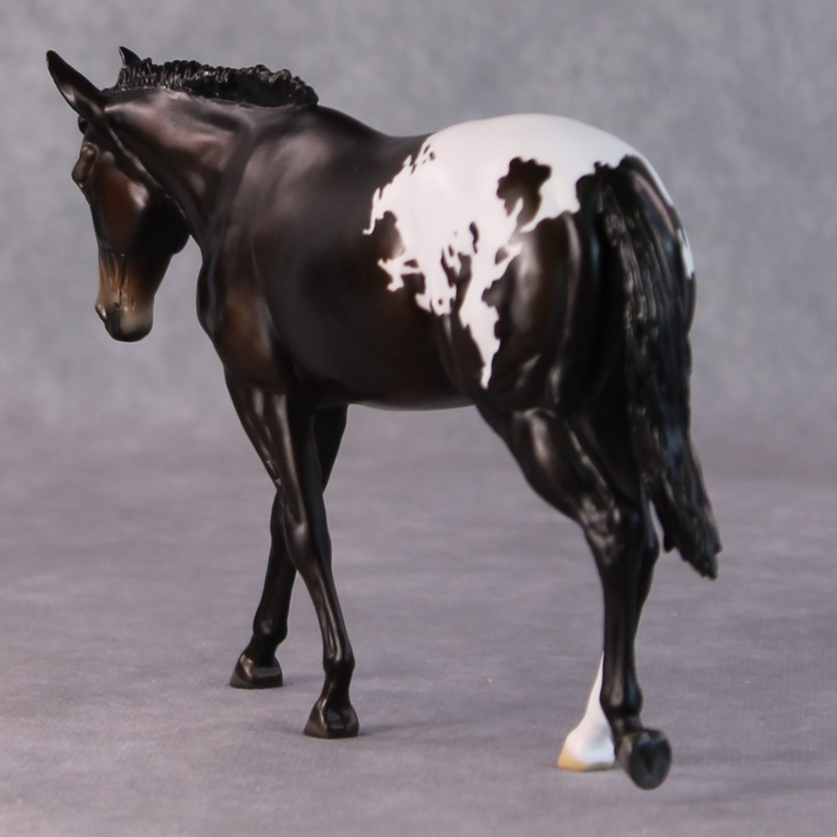 Fudge Sundae OOAK Dark Bay Appaloosa Pebble Mule  By Angela Marleau HS24