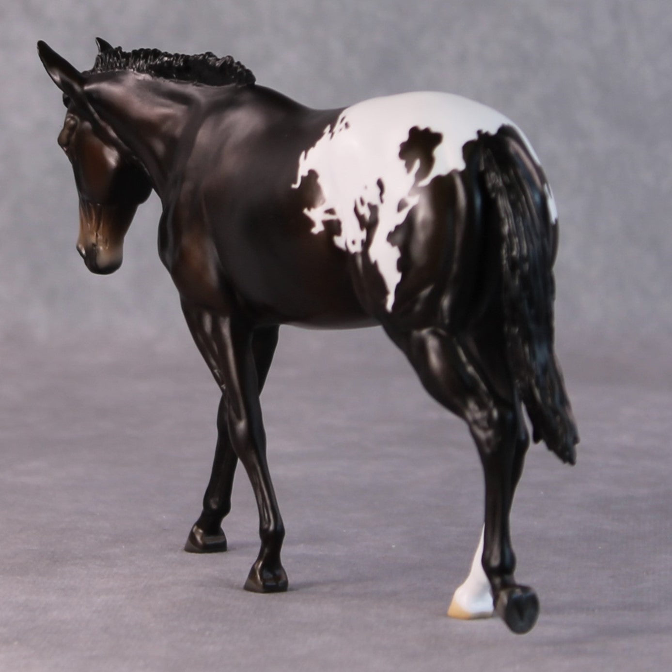 Fudge Sundae OOAK Dark Bay Appaloosa Pebble Mule  By Angela Marleau HS24