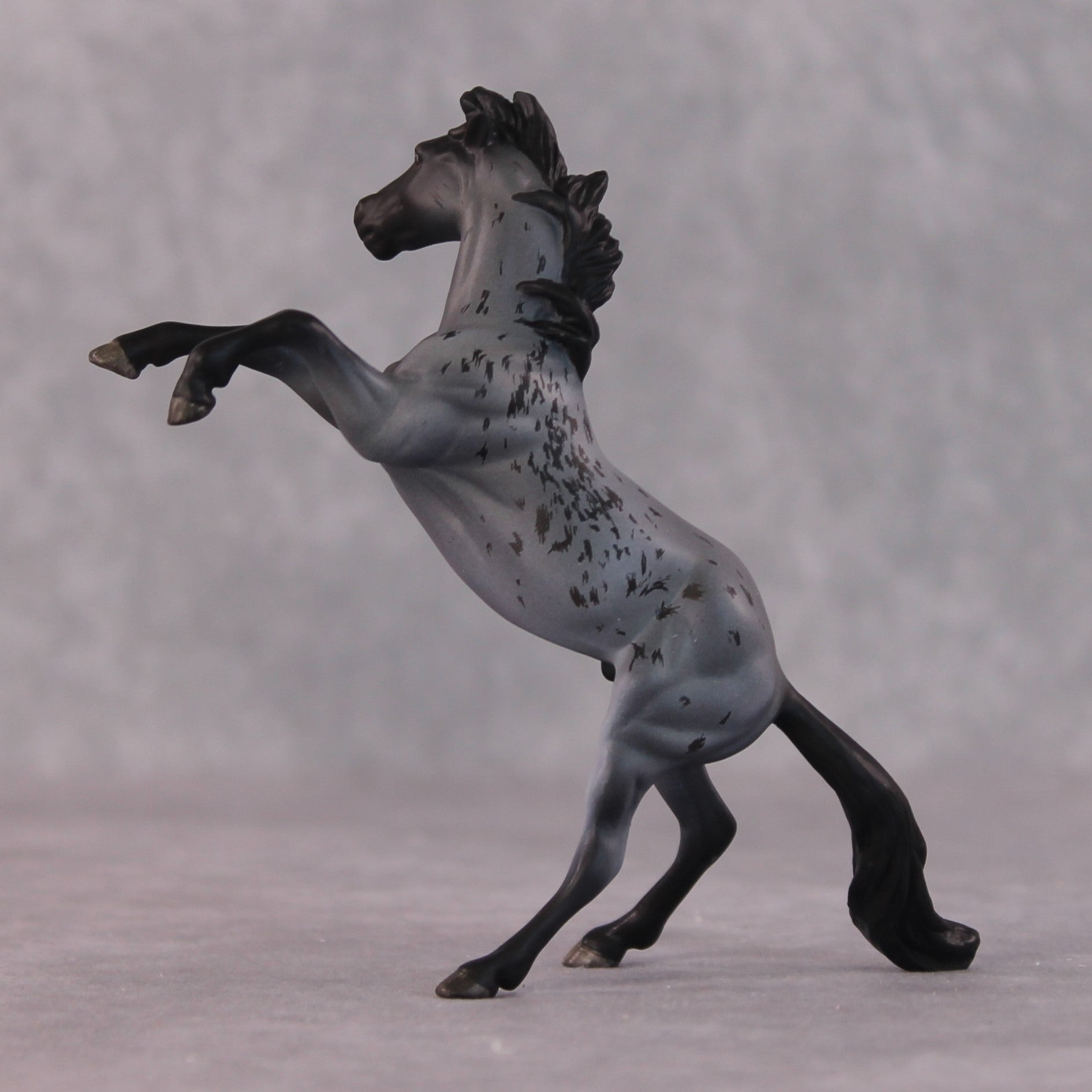 "Edward Teach" OOAK Rearing Chip By Maggie Jenner-Bennett