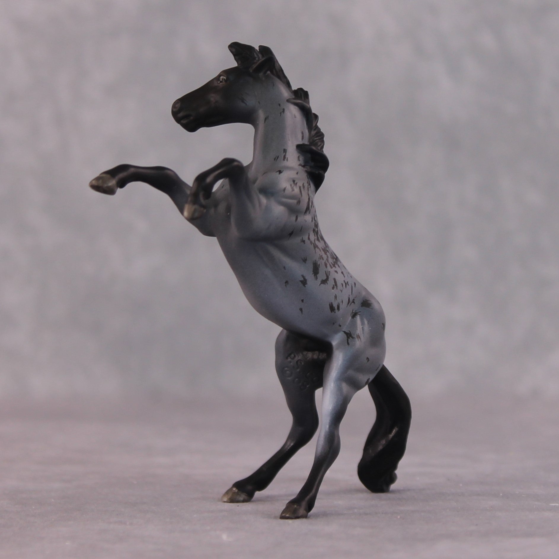 "Edward Teach" OOAK Rearing Chip By Maggie Jenner-Bennett