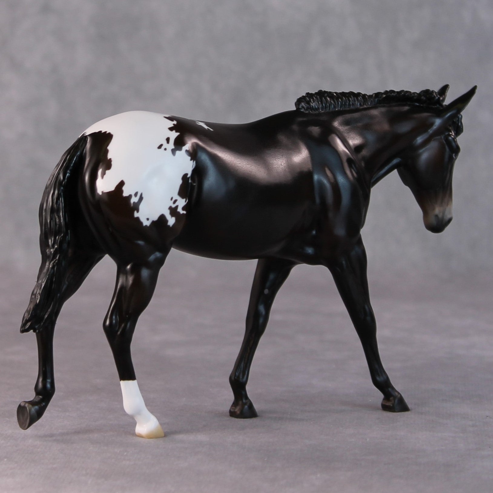 Fudge Sundae OOAK Dark Bay Appaloosa Pebble Mule  By Angela Marleau HS24