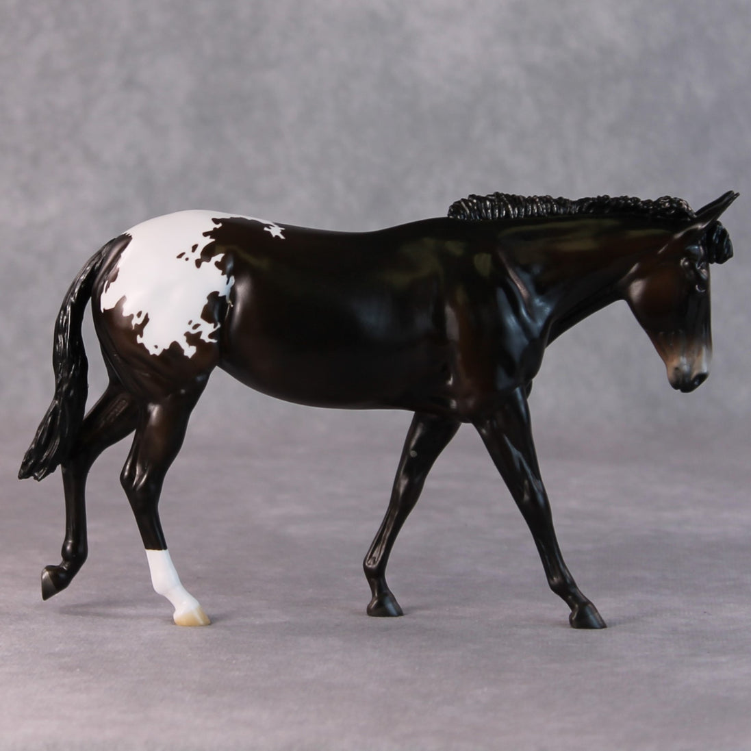 Fudge Sundae OOAK Dark Bay Appaloosa Pebble Mule  By Angela Marleau HS24