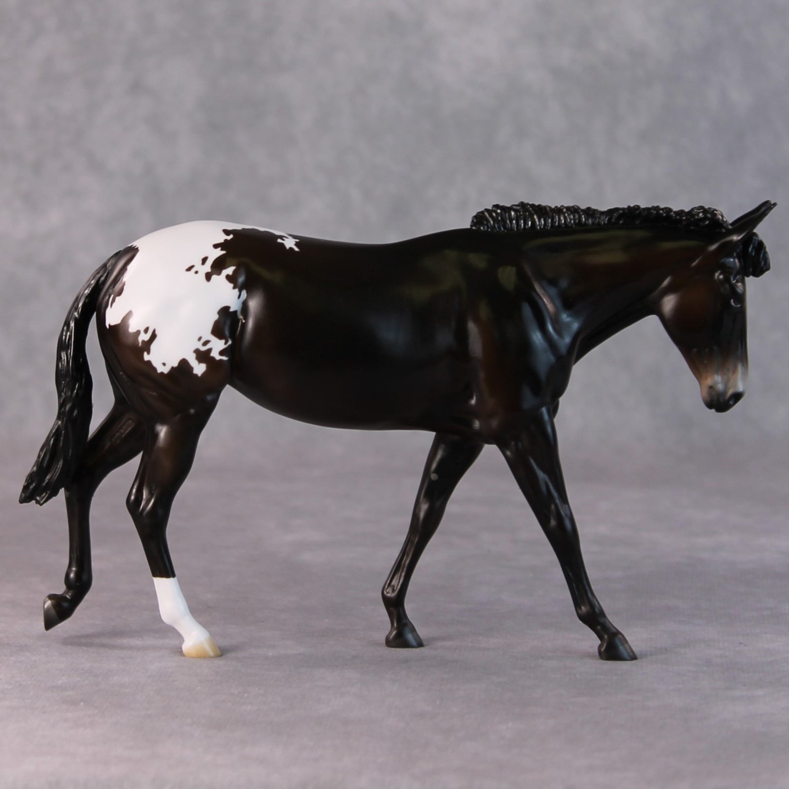 Fudge Sundae OOAK Dark Bay Appaloosa Pebble Mule  By Angela Marleau HS24
