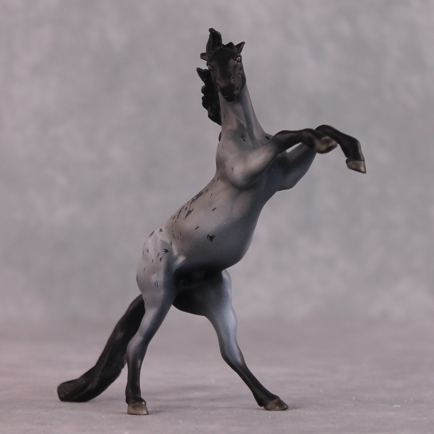 "Edward Teach" OOAK Rearing Chip By Maggie Jenner-Bennett