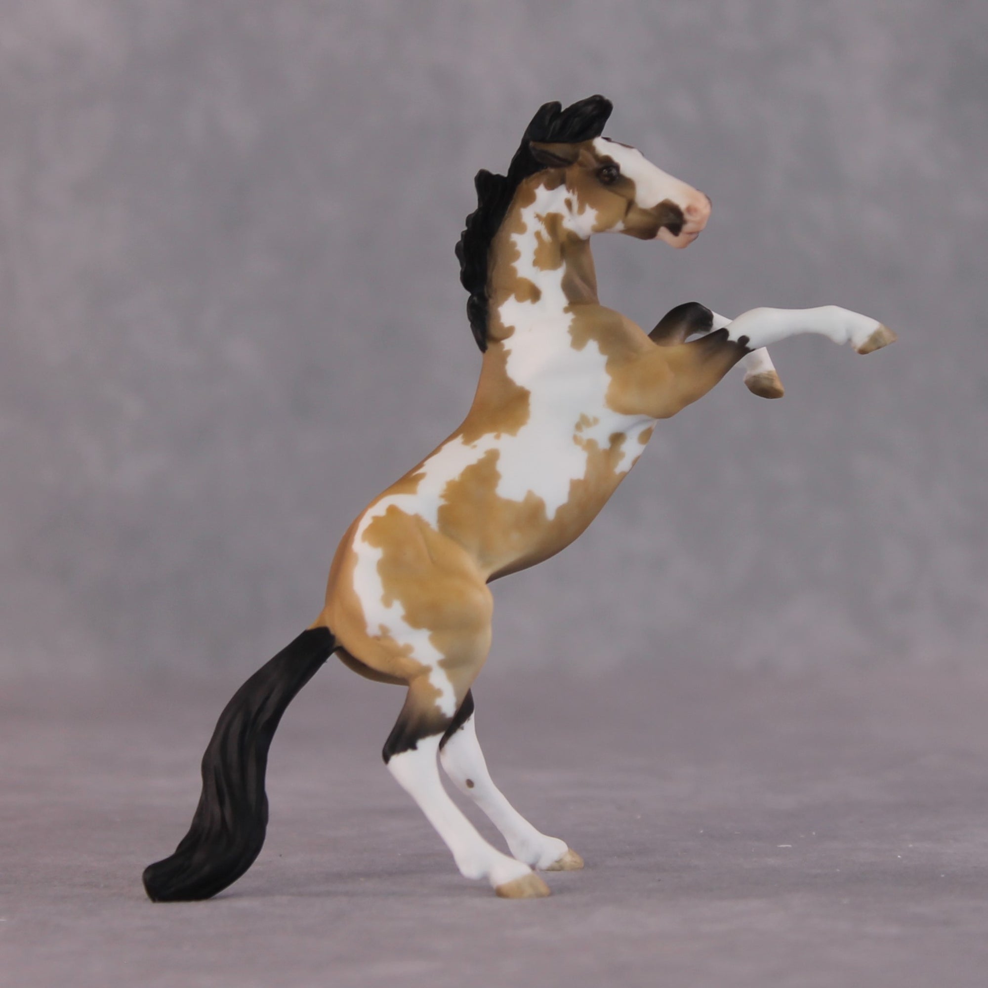"Frenchie" OOAK Rearing Chip By Maggie Jenner-Bennett