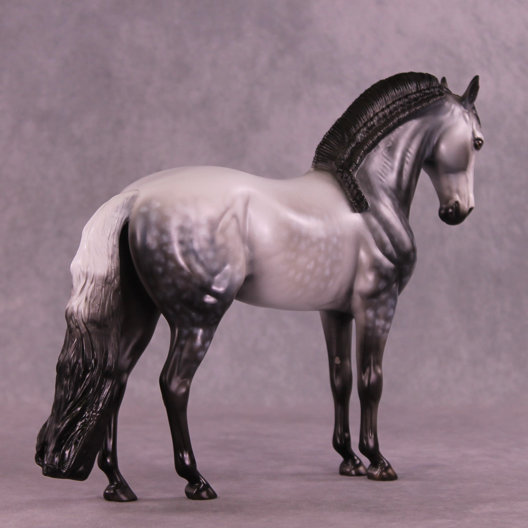 Silver Flames OOAK FCM Andalusian by Dawn Quick DDOOAKs25