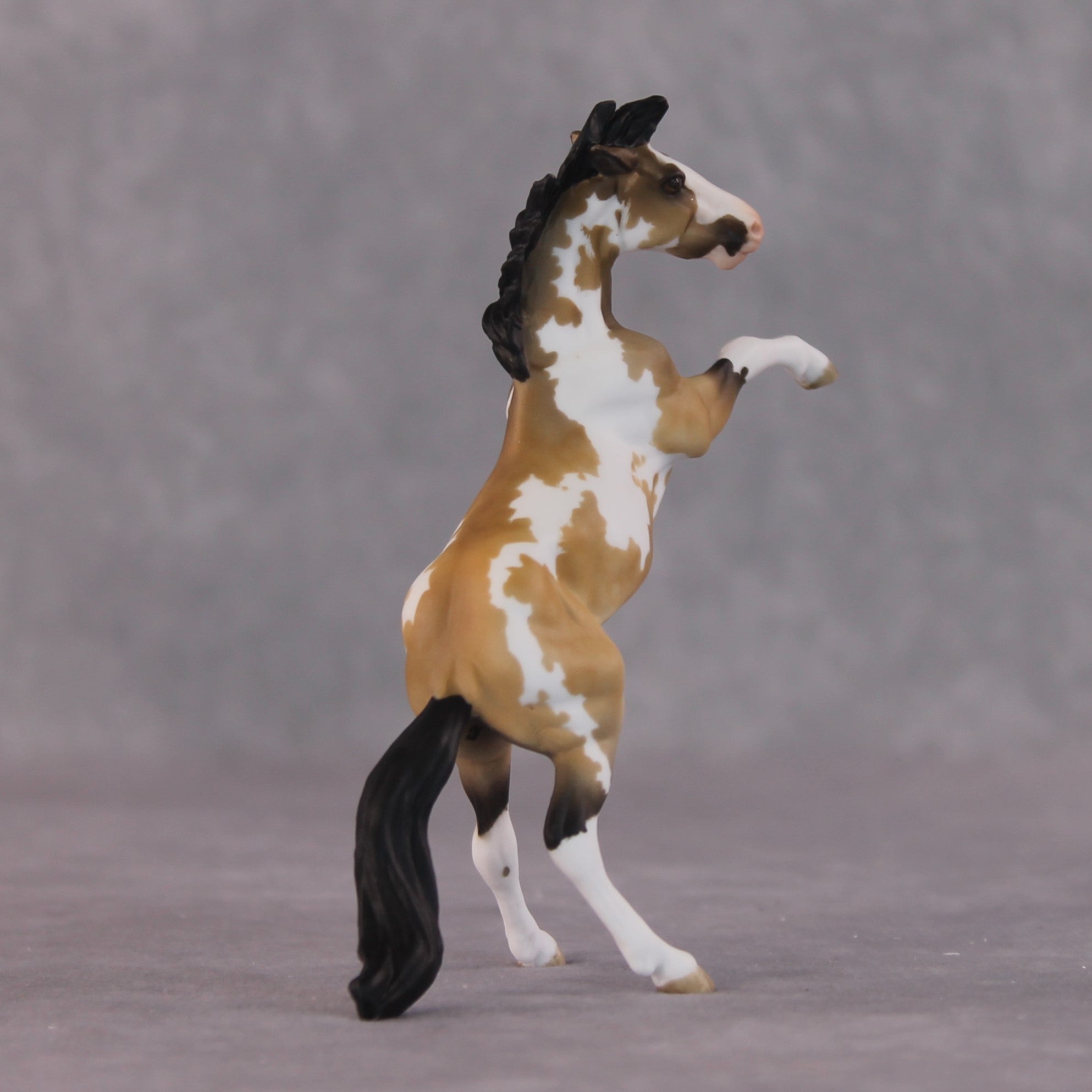 "Frenchie" OOAK Rearing Chip By Maggie Jenner-Bennett